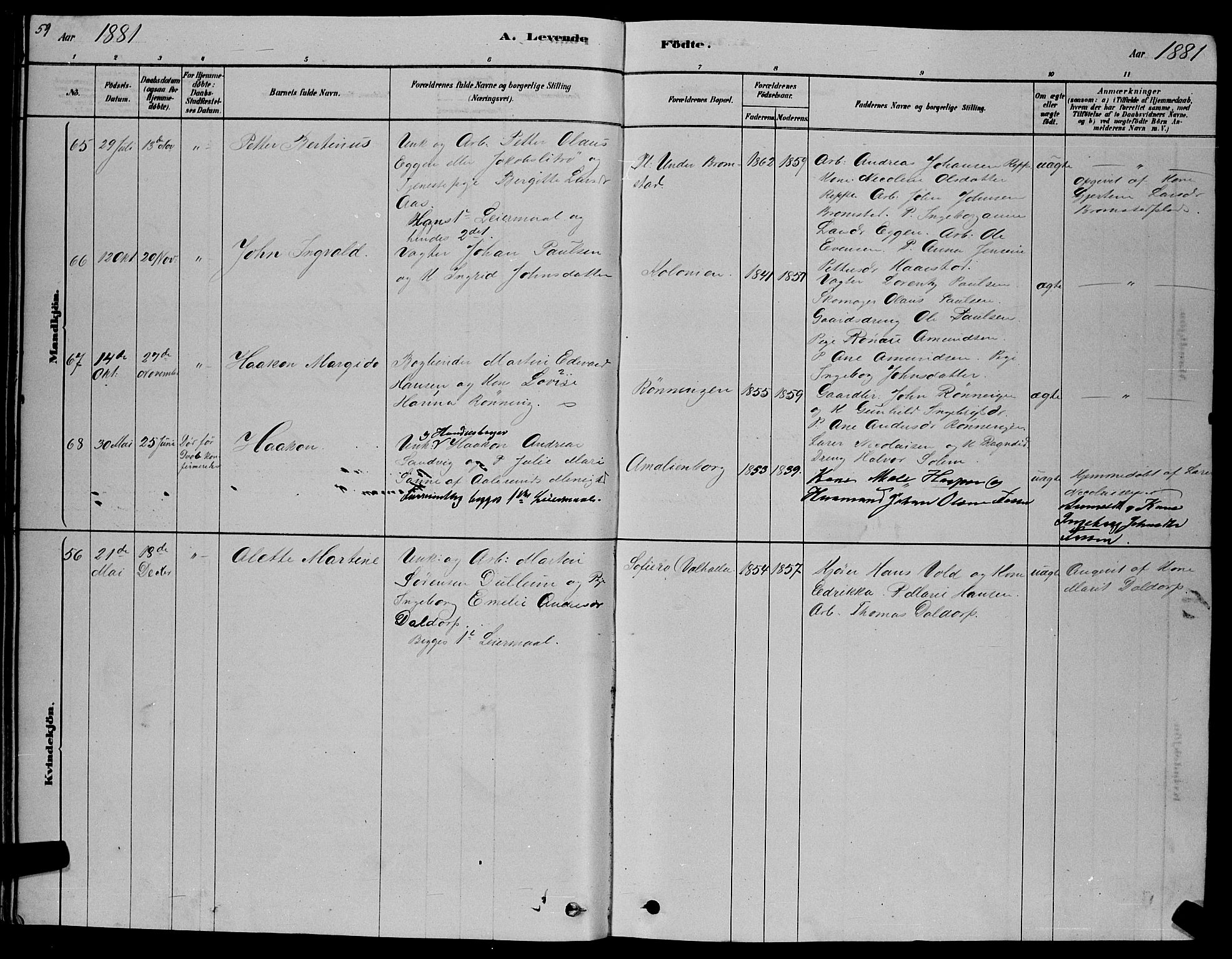 Ministerialprotokoller, klokkerbøker og fødselsregistre - Sør-Trøndelag, SAT/A-1456/606/L0312: Parish register (copy) no. 606C08, 1878-1894, p. 59