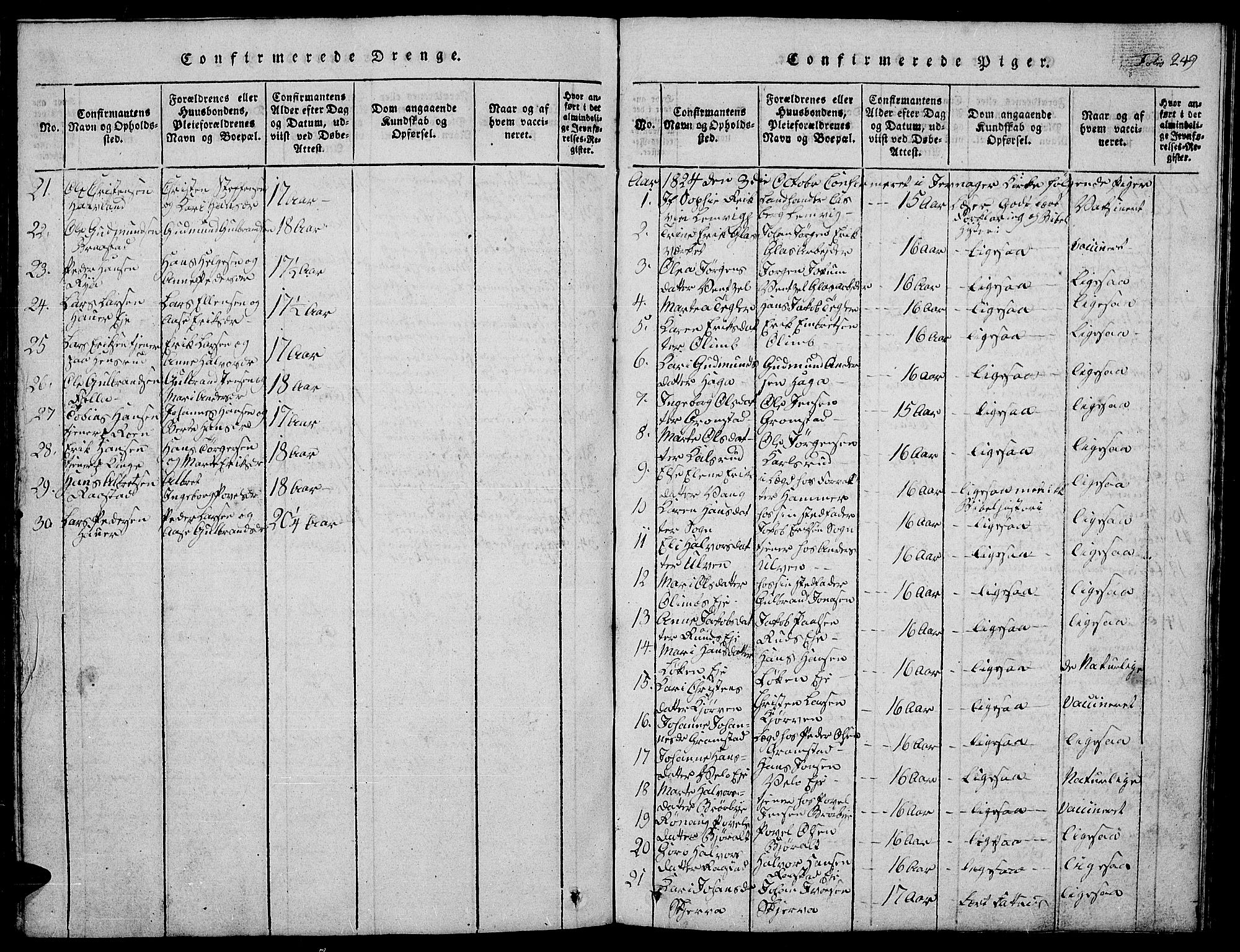 Jevnaker prestekontor, SAH/PREST-116/H/Ha/Hab/L0001: Parish register (copy) no. 1, 1815-1837, p. 249