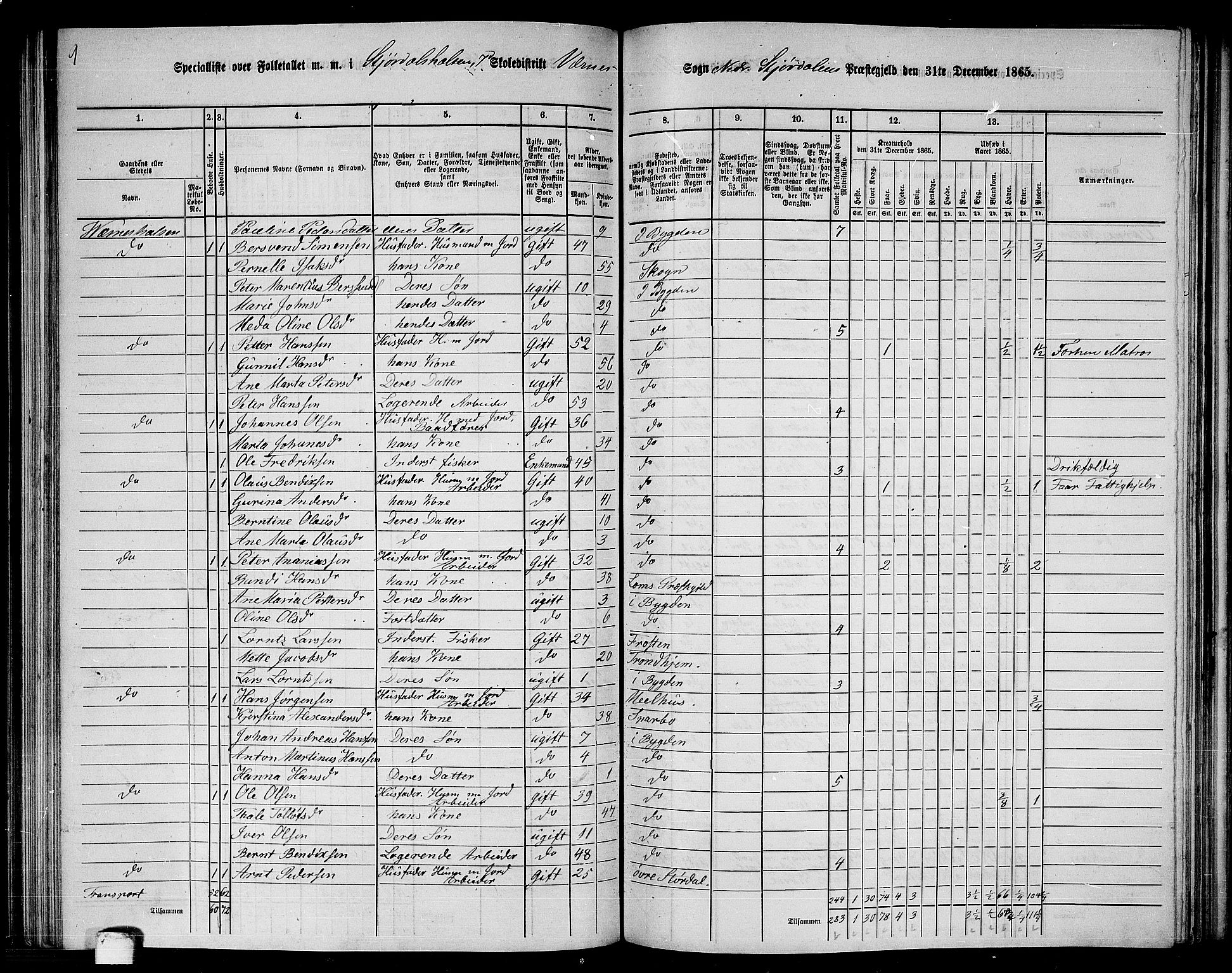 RA, 1865 census for Nedre Stjørdal, 1865, p. 160