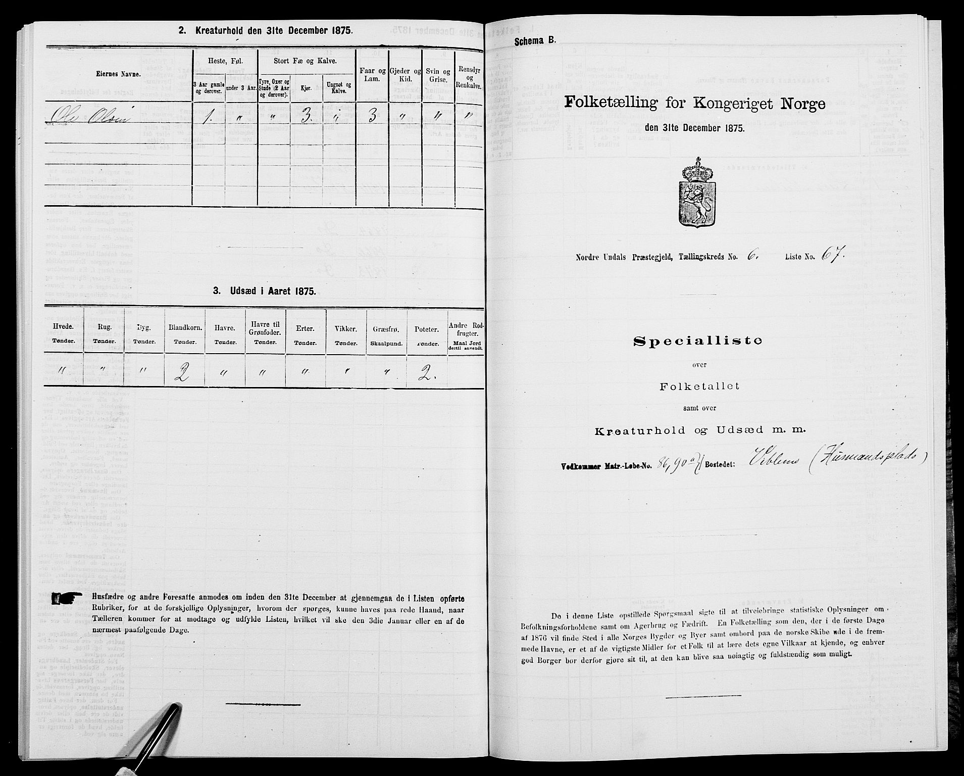 SAK, 1875 census for 1028P Nord-Audnedal, 1875, p. 738