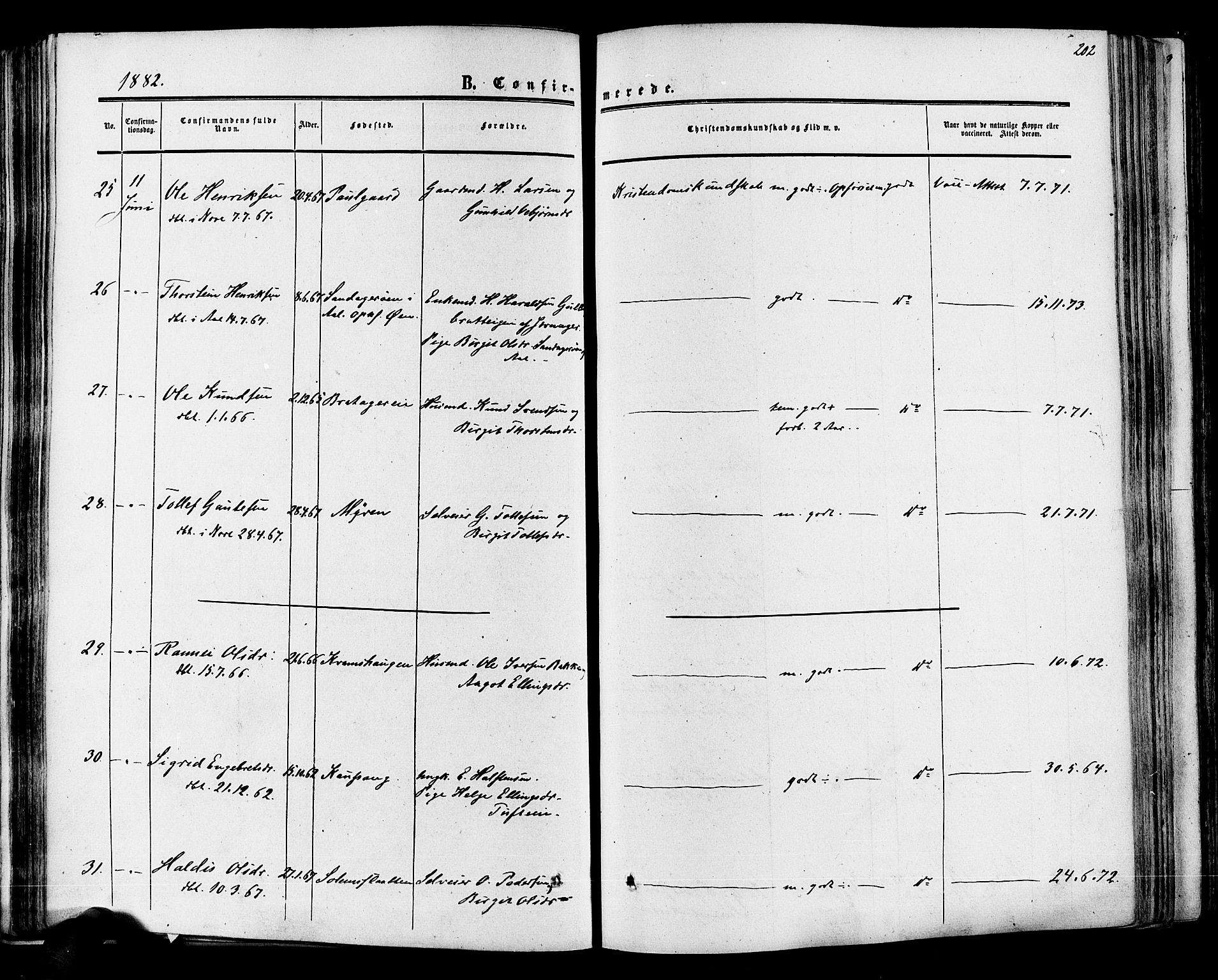 Hol kirkebøker, AV/SAKO-A-227/F/Fa/L0002: Parish register (official) no. I 2, 1870-1886, p. 202