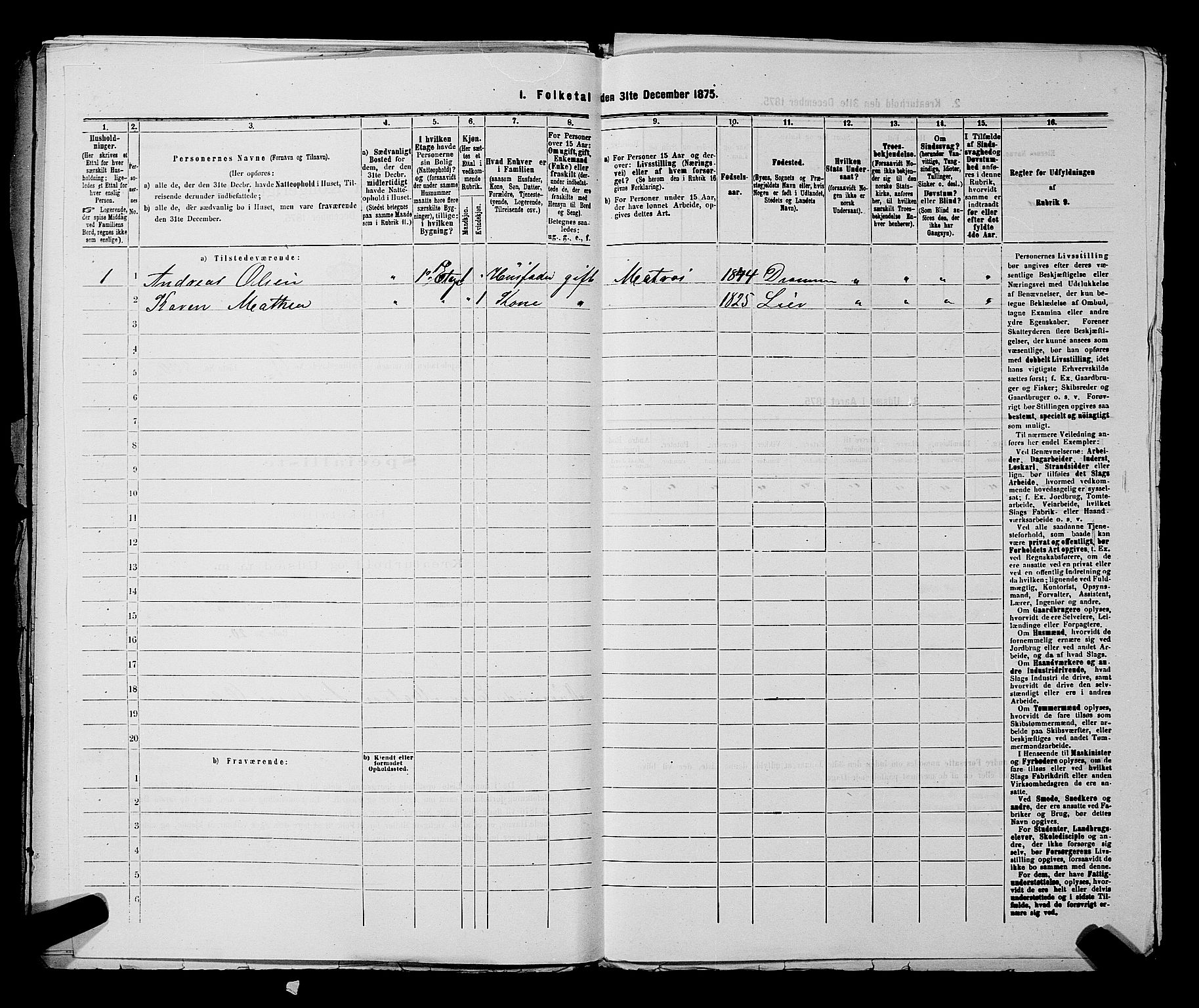 SAKO, 1875 census for 0602 Drammen, 1875, p. 2098