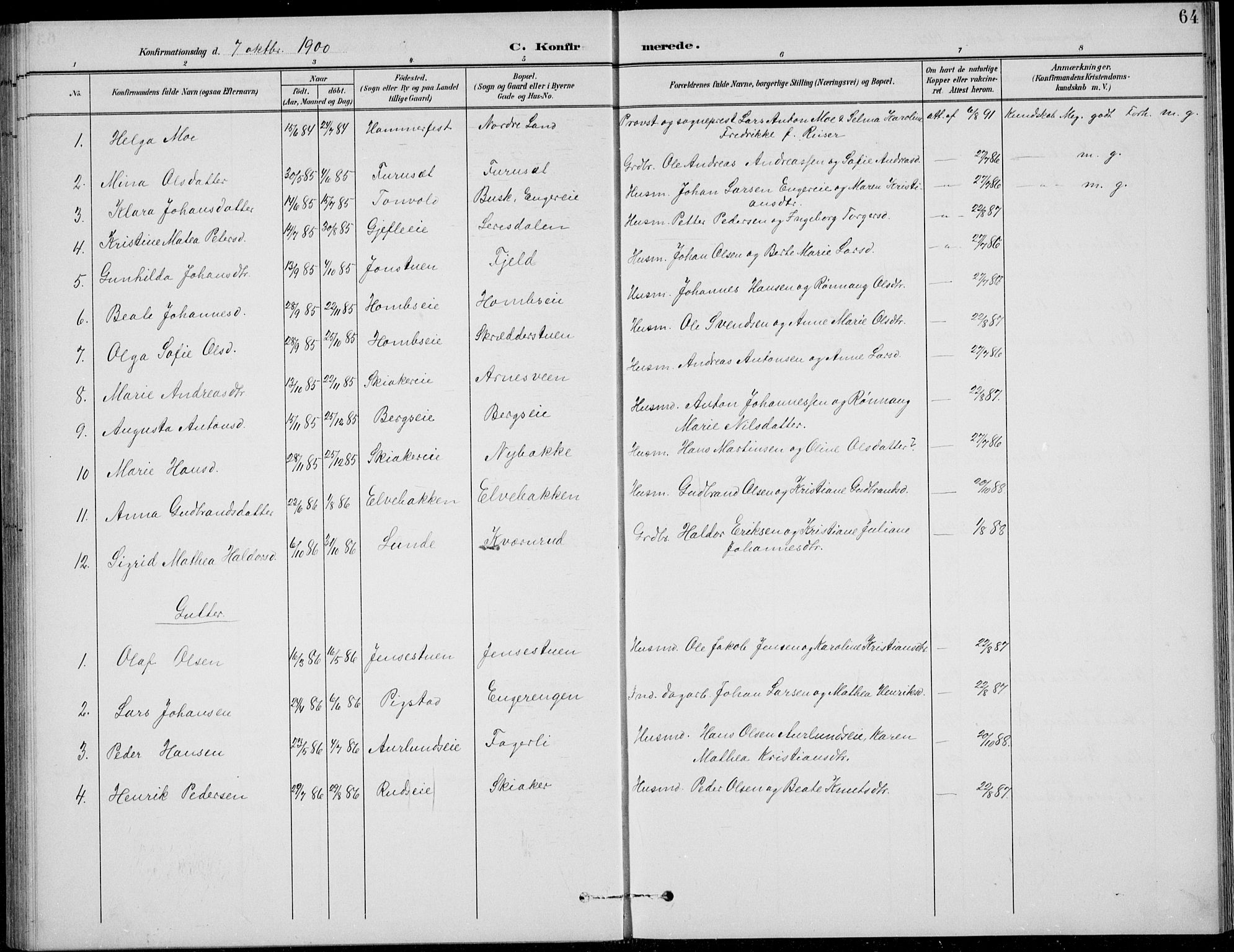 Nordre Land prestekontor, SAH/PREST-124/H/Ha/Hab/L0014: Parish register (copy) no. 14, 1891-1907, p. 64