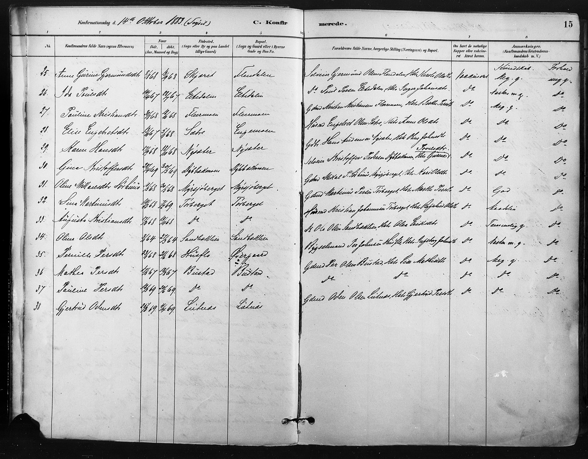 Trysil prestekontor, AV/SAH-PREST-046/H/Ha/Haa/L0009: Parish register (official) no. 9, 1881-1897, p. 15