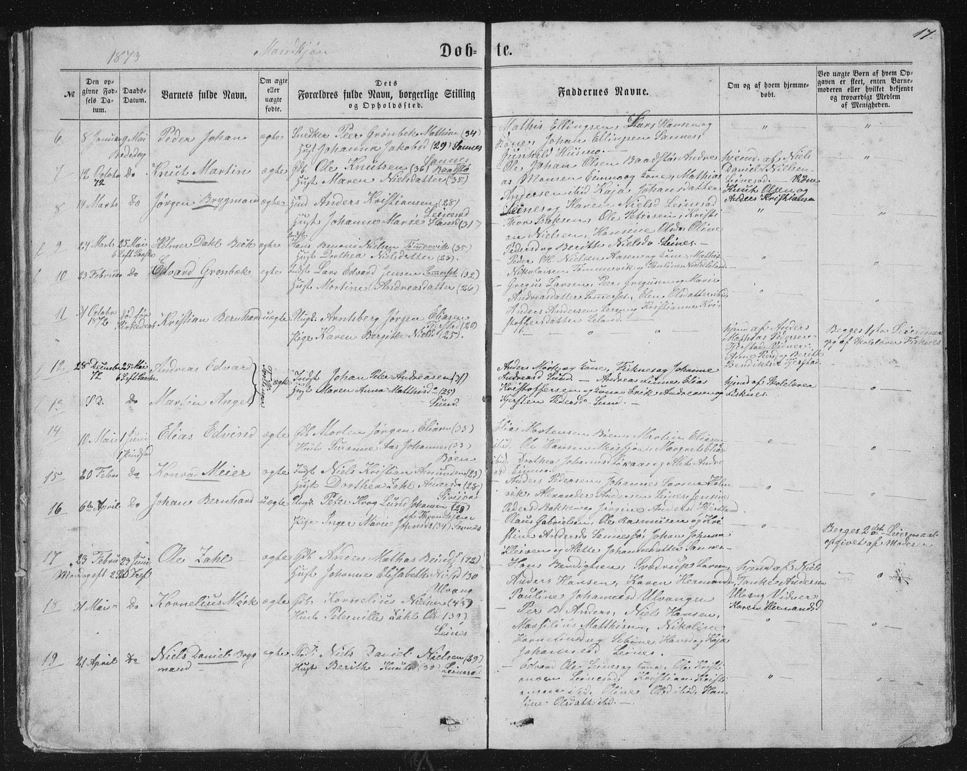 Ministerialprotokoller, klokkerbøker og fødselsregistre - Nordland, AV/SAT-A-1459/831/L0476: Parish register (copy) no. 831C03, 1866-1877, p. 17