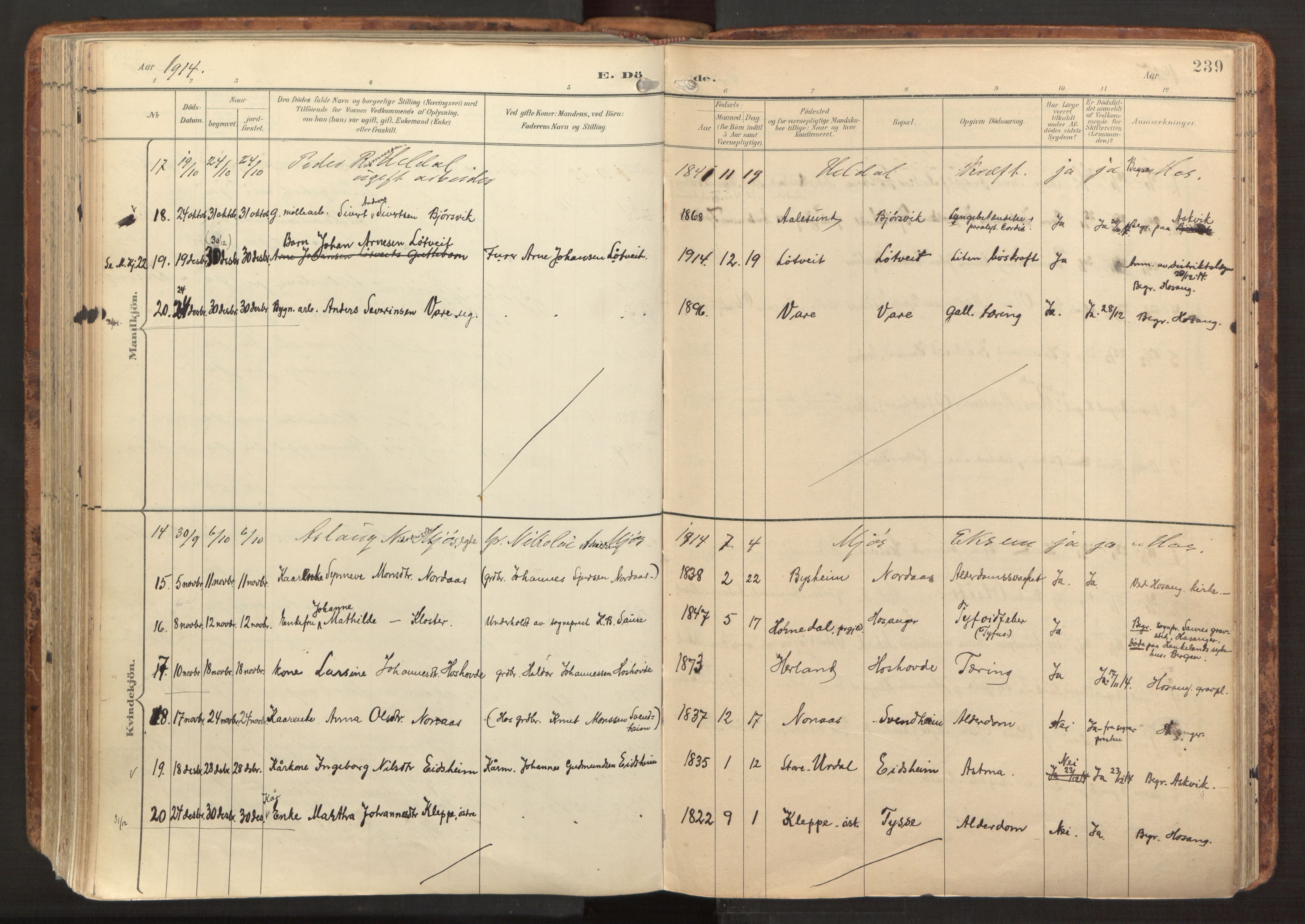 Hosanger sokneprestembete, AV/SAB-A-75801/H/Haa: Parish register (official) no. B 2, 1897-1923, p. 239