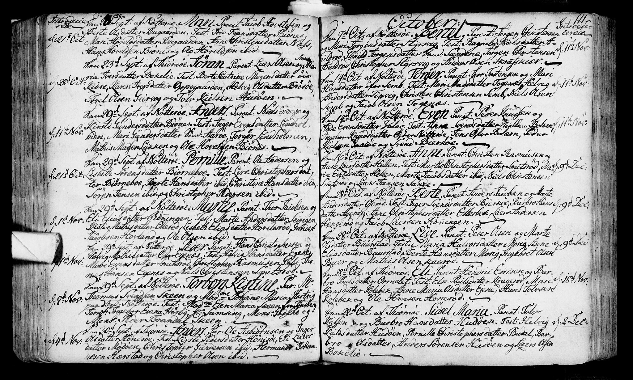 Nøtterøy kirkebøker, AV/SAKO-A-354/F/Fa/L0002: Parish register (official) no. I 2, 1738-1790, p. 111