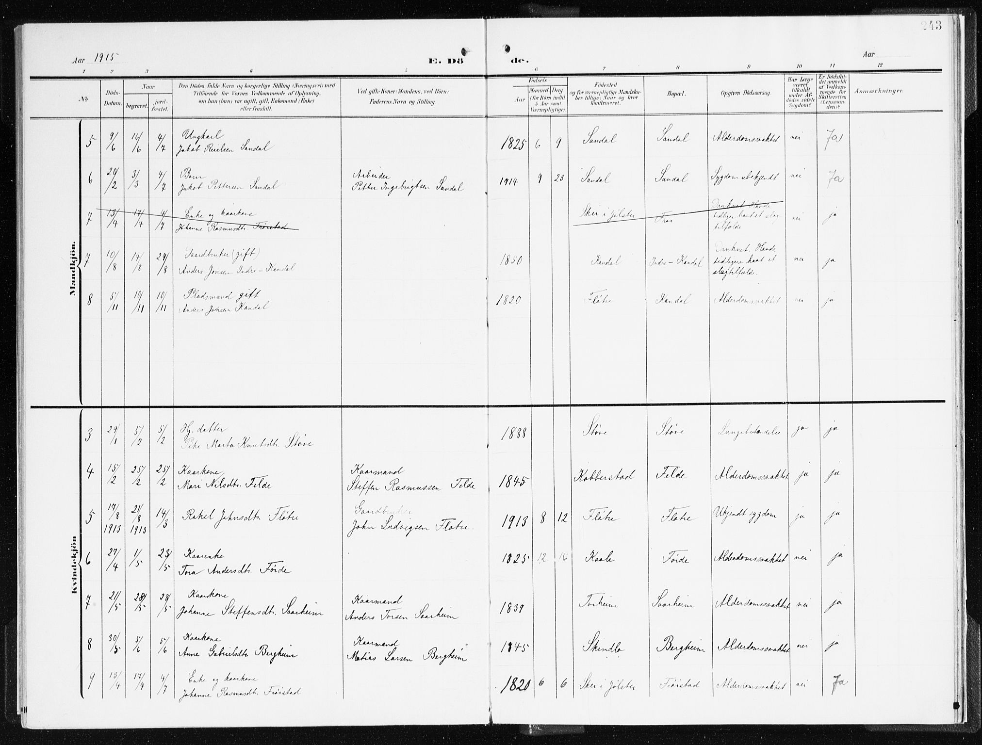 Gloppen sokneprestembete, AV/SAB-A-80101/H/Haa/Haac/L0003: Parish register (official) no. C 3, 1904-1921, p. 243