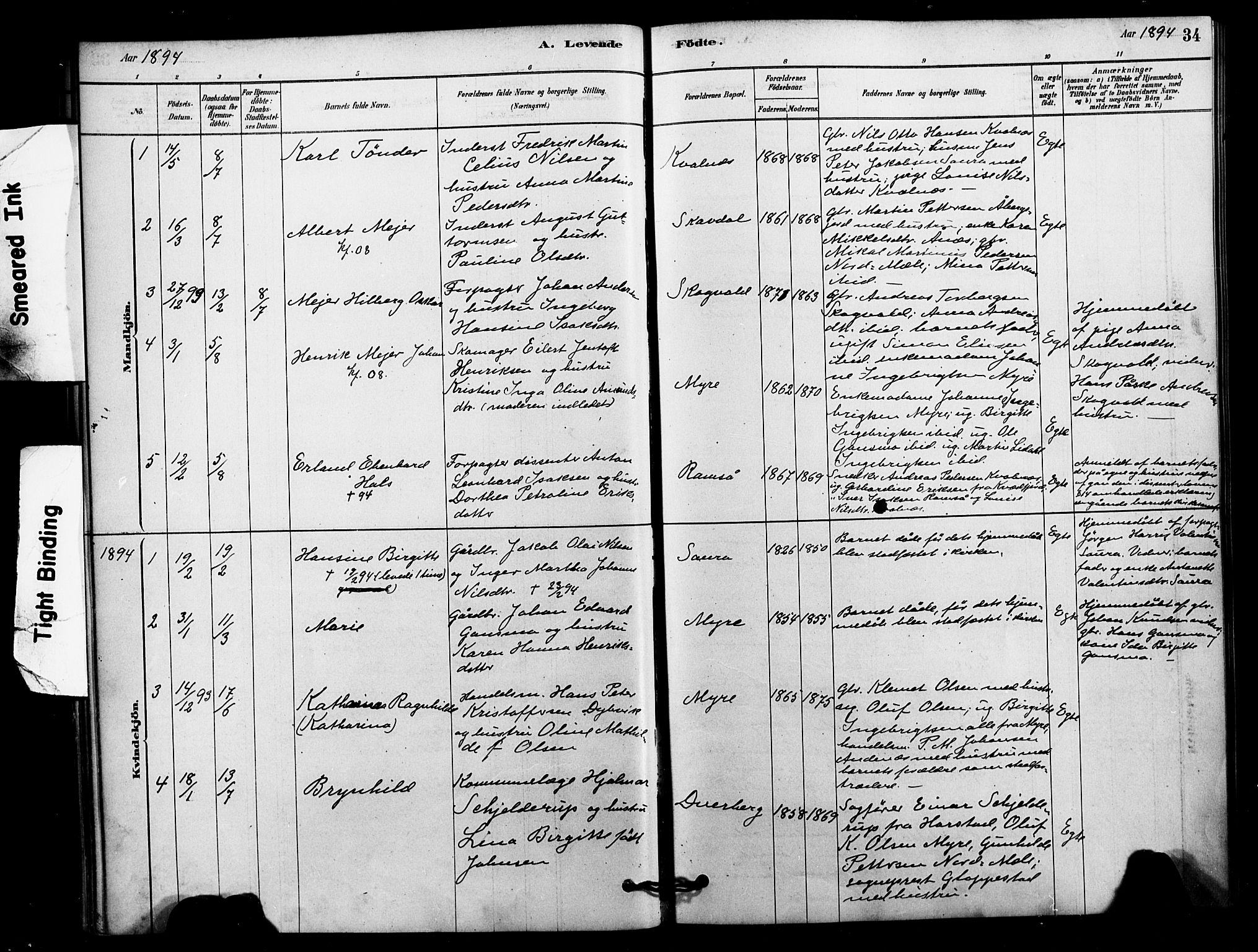 Ministerialprotokoller, klokkerbøker og fødselsregistre - Nordland, AV/SAT-A-1459/897/L1399: Parish register (official) no. 897C06, 1881-1896, p. 34