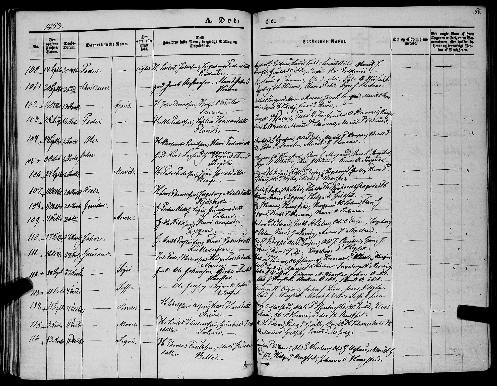 Ministerialprotokoller, klokkerbøker og fødselsregistre - Sør-Trøndelag, SAT/A-1456/695/L1145: Parish register (official) no. 695A06 /1, 1843-1859, p. 85
