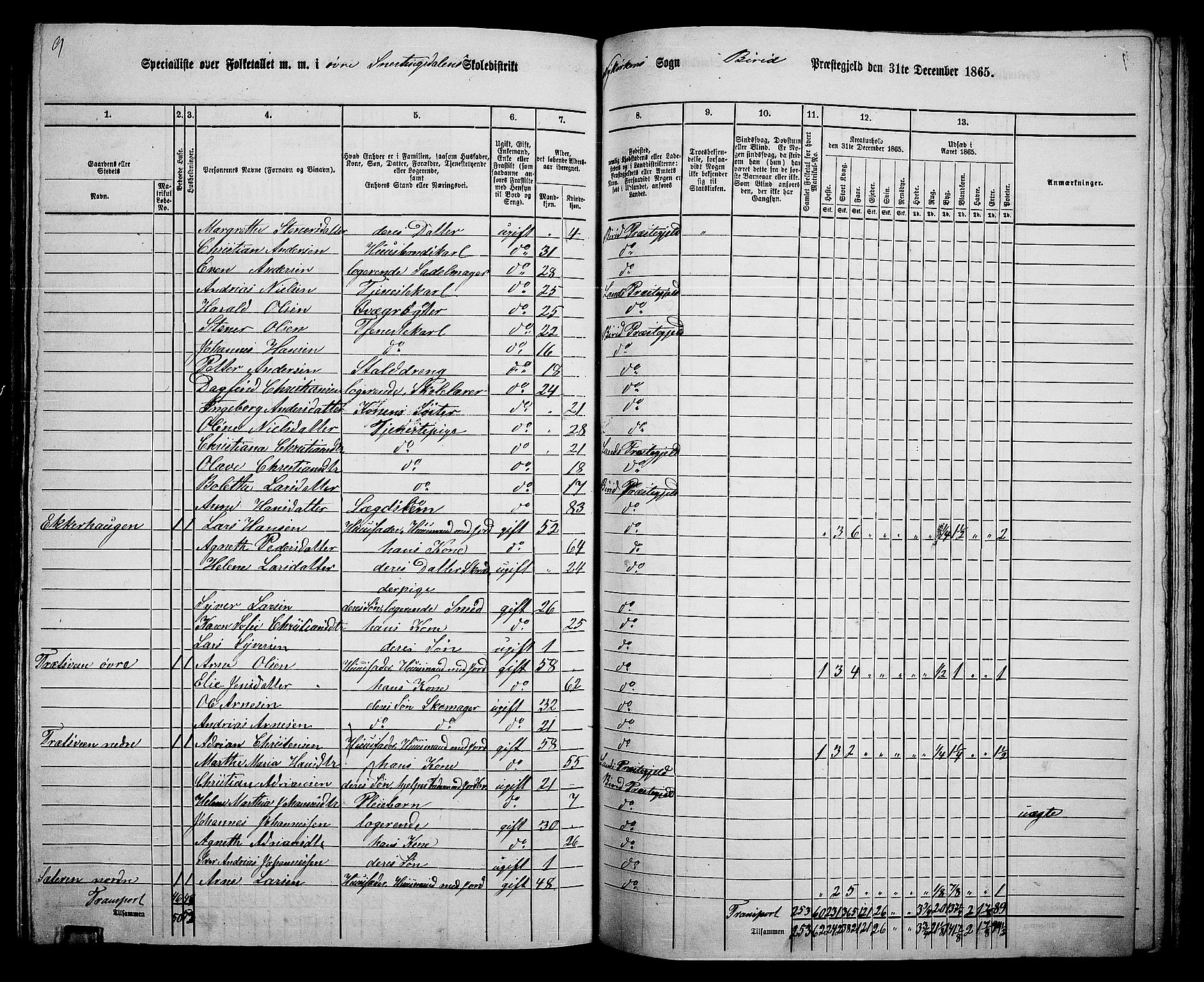 RA, 1865 census for Biri, 1865, p. 125