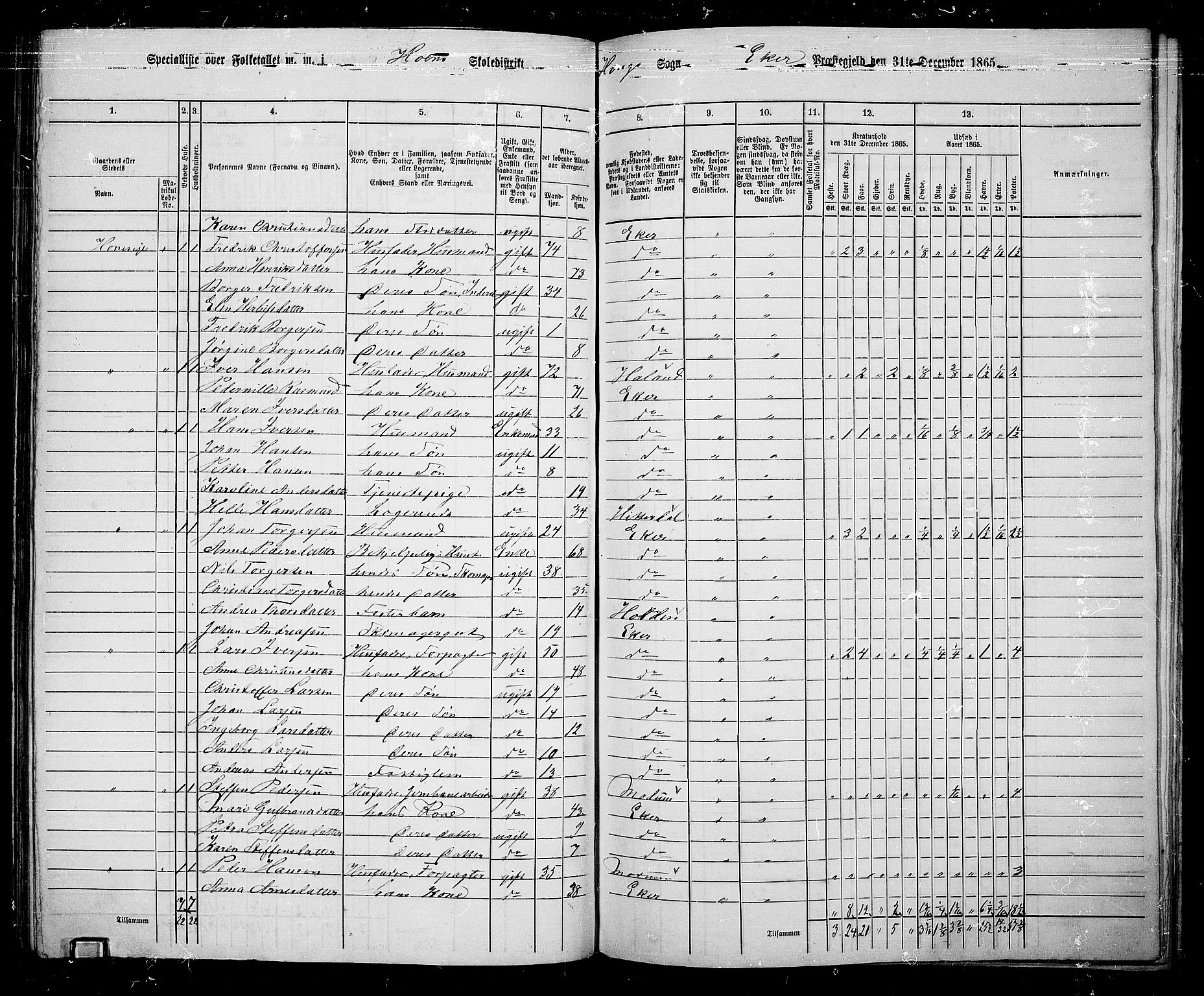 RA, 1865 census for Eiker, 1865, p. 127