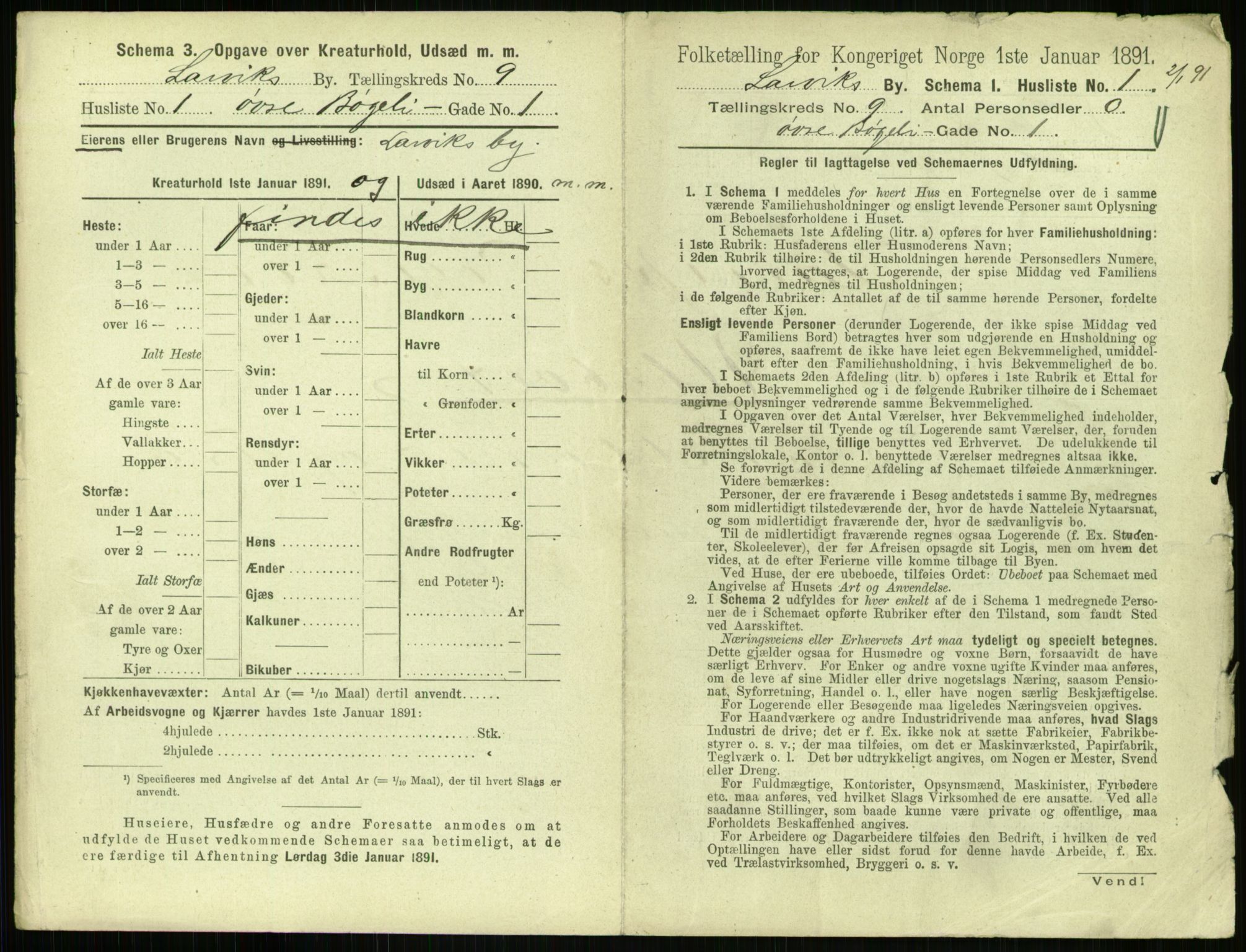 RA, 1891 census for 0707 Larvik, 1891, p. 1121