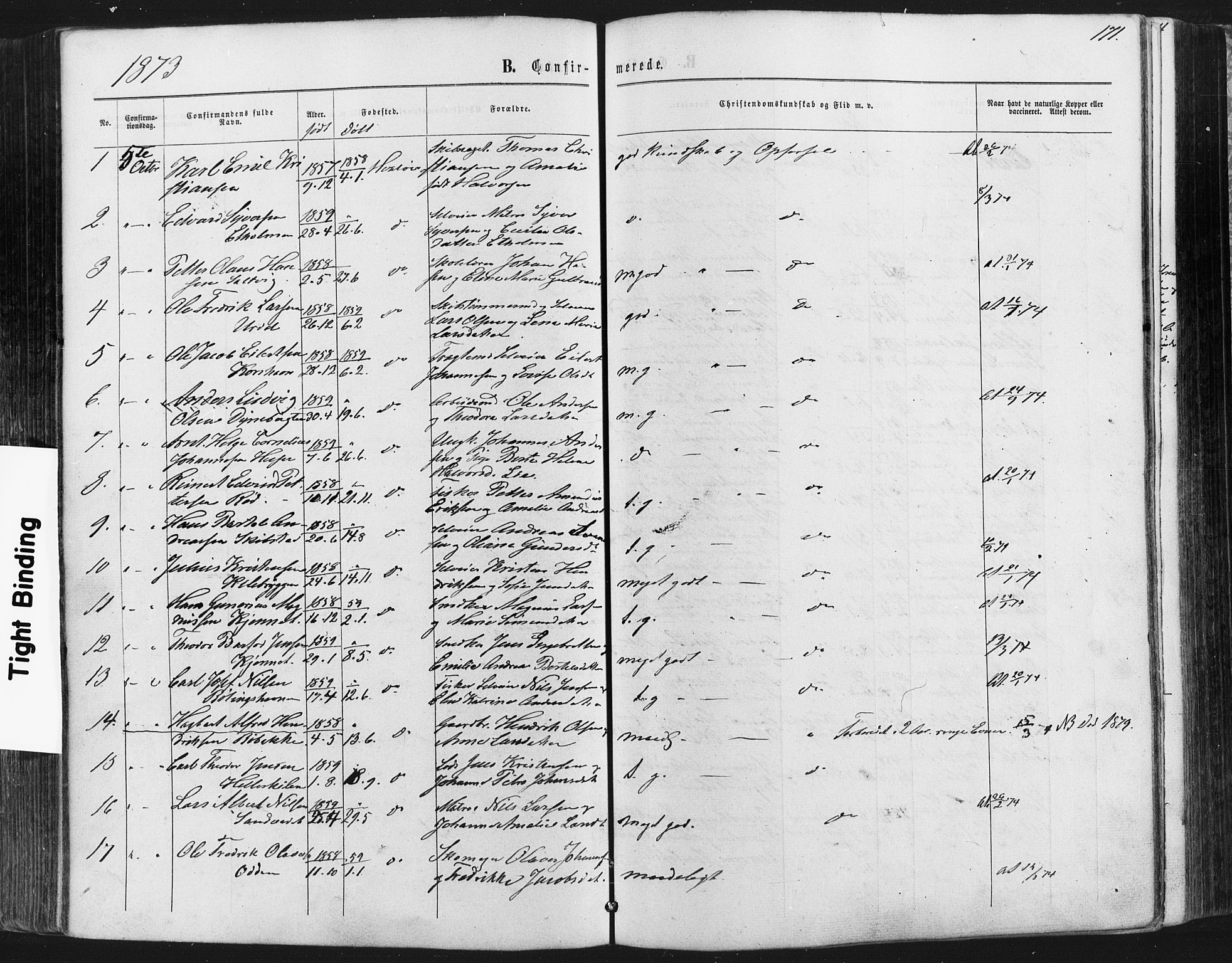 Hvaler prestekontor Kirkebøker, AV/SAO-A-2001/F/Fa/L0007: Parish register (official) no. I 7, 1864-1878, p. 171