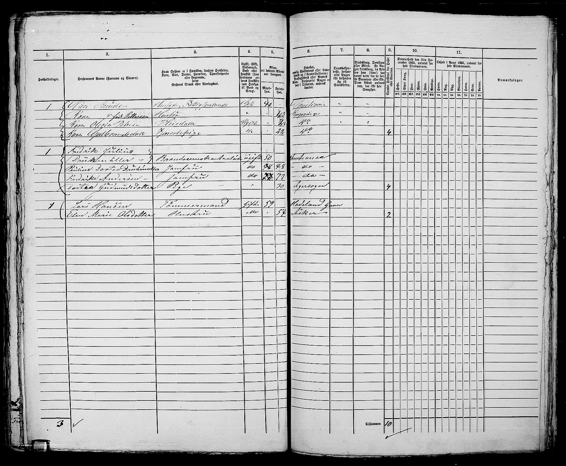 RA, 1865 census for Kristiania, 1865, p. 5336