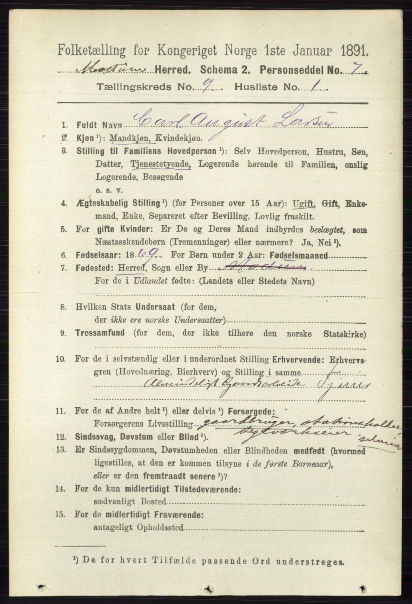 RA, 1891 census for 0623 Modum, 1891, p. 3461