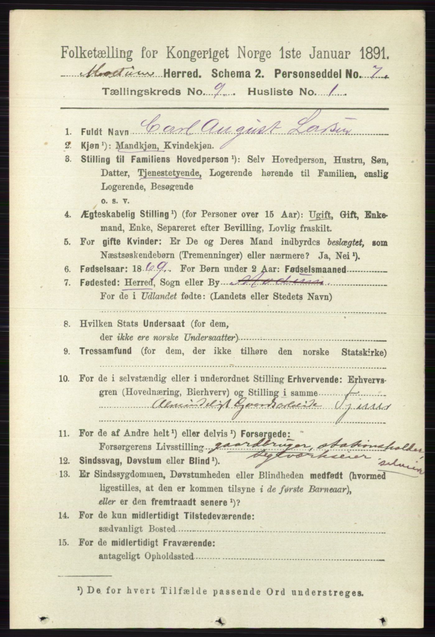 RA, 1891 census for 0623 Modum, 1891, p. 3461