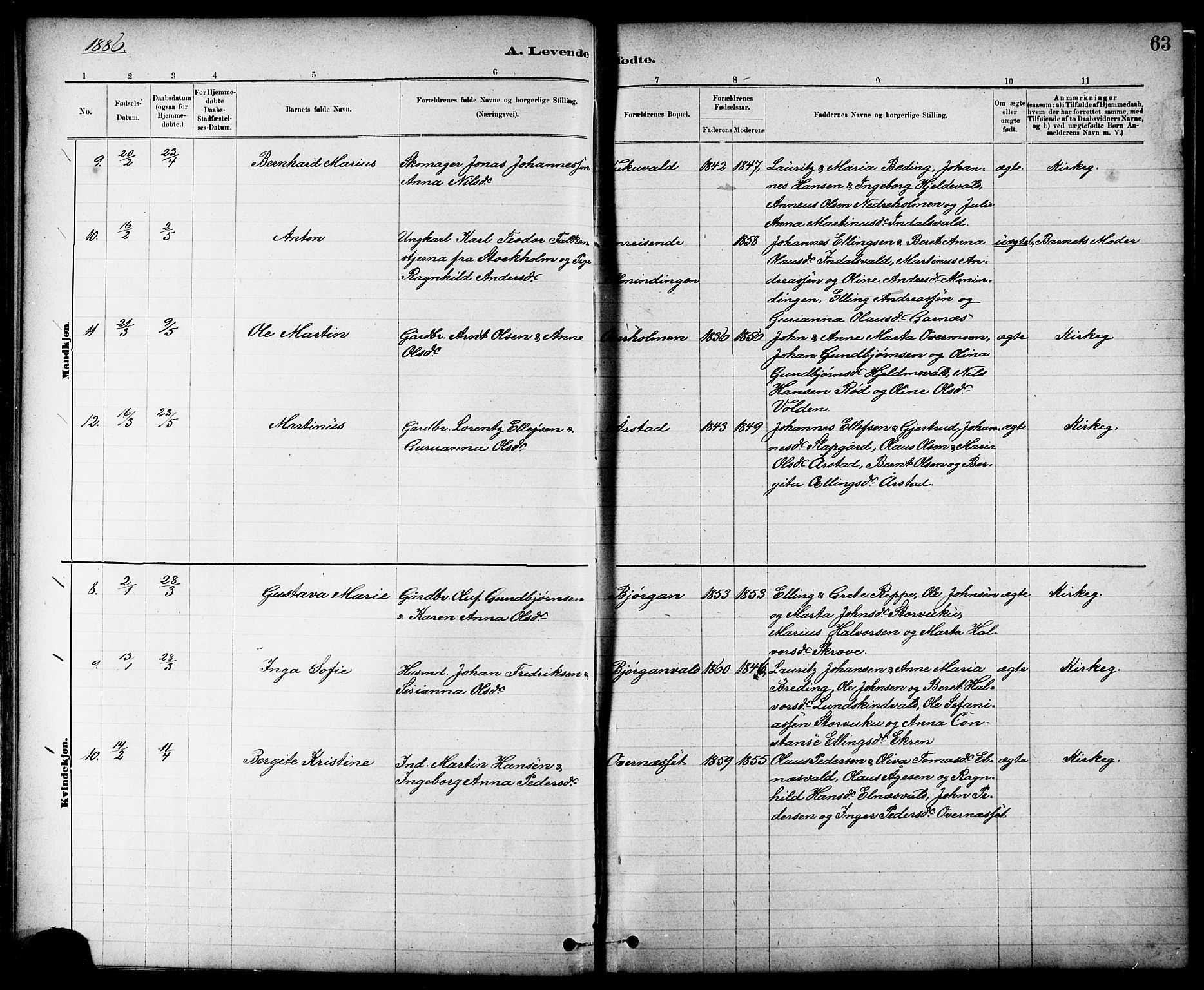 Ministerialprotokoller, klokkerbøker og fødselsregistre - Nord-Trøndelag, AV/SAT-A-1458/724/L0267: Parish register (copy) no. 724C03, 1879-1898, p. 63