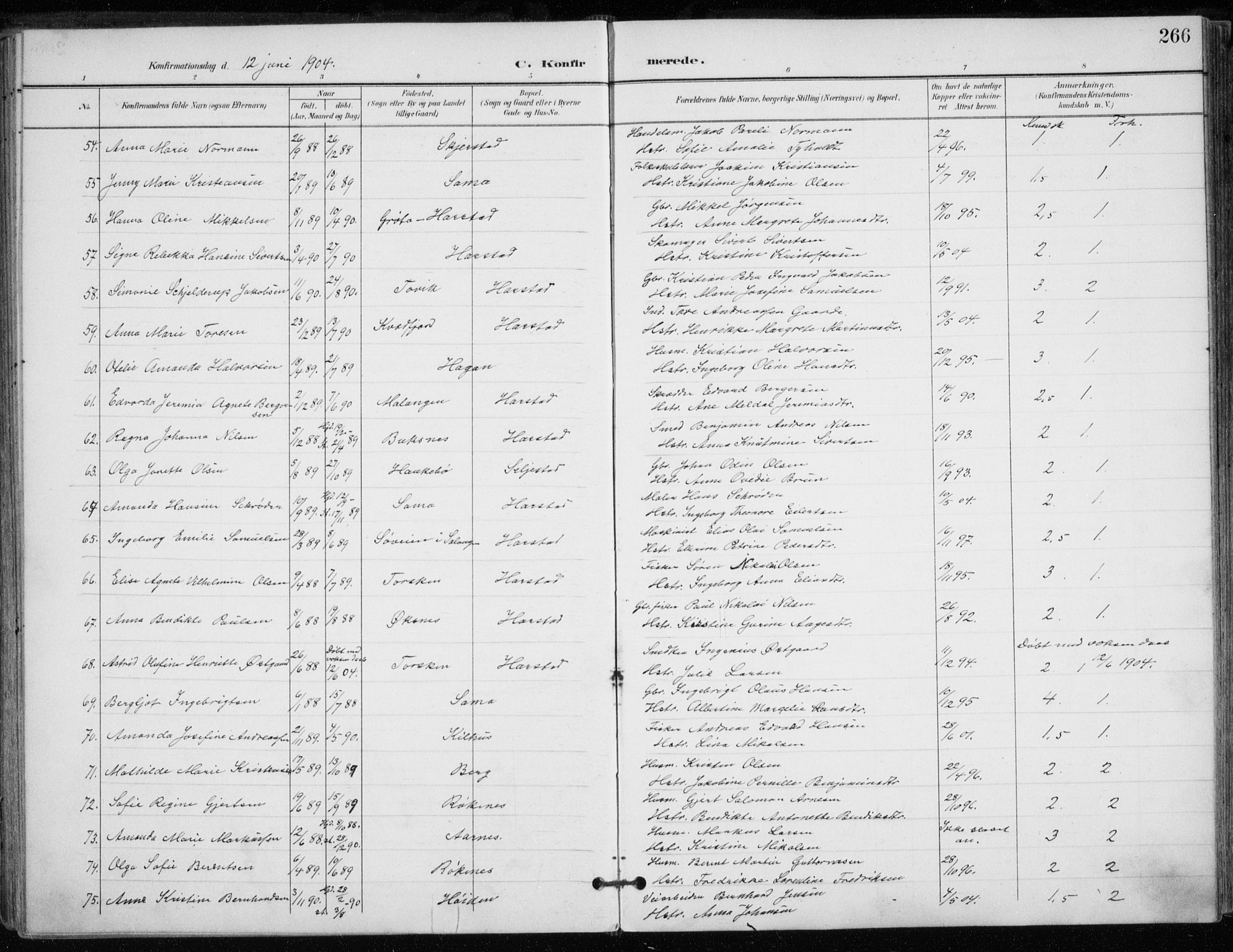 Trondenes sokneprestkontor, SATØ/S-1319/H/Ha/L0017kirke: Parish register (official) no. 17, 1899-1908, p. 266