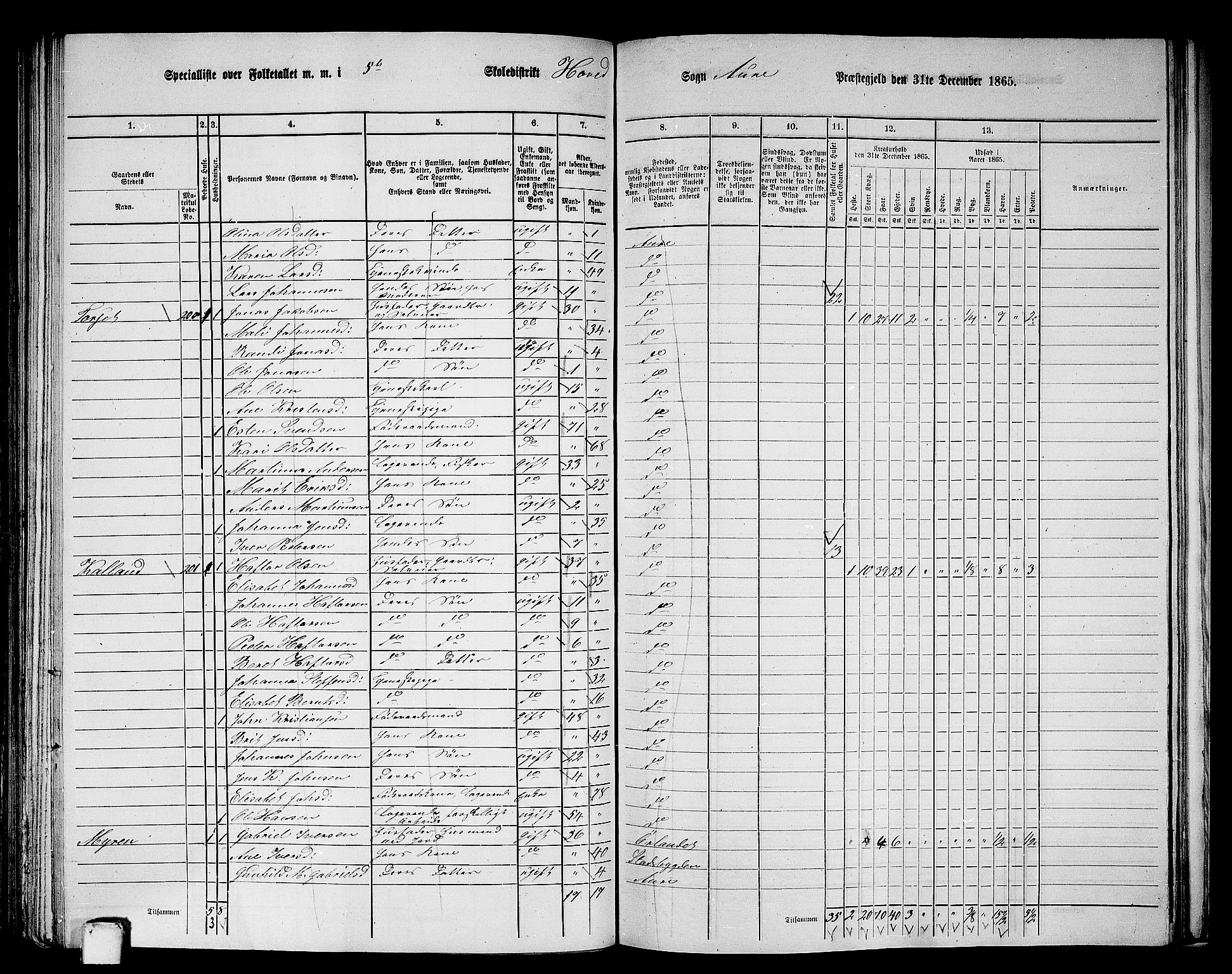 RA, 1865 census for Aure, 1865, p. 113