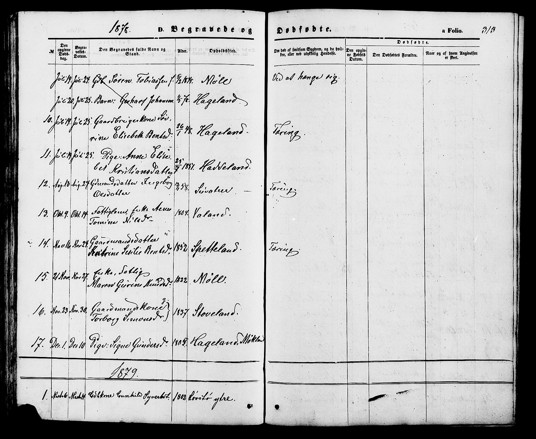 Holum sokneprestkontor, SAK/1111-0022/F/Fb/Fba/L0004: Parish register (copy) no. B 4, 1867-1890, p. 313