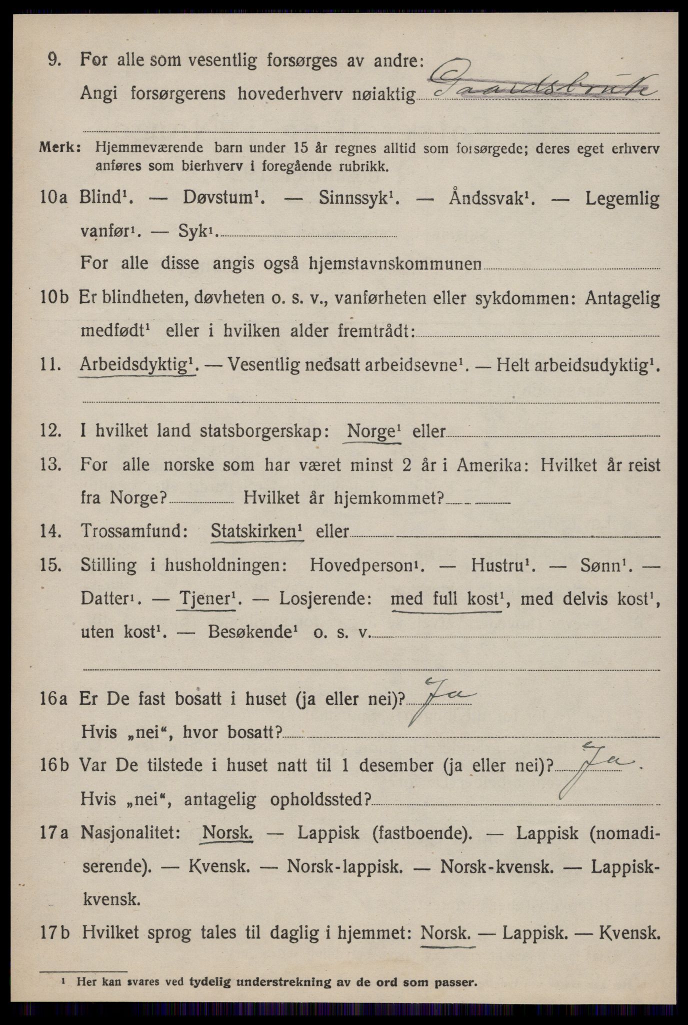 SAT, 1920 census for Røros, 1920, p. 9687