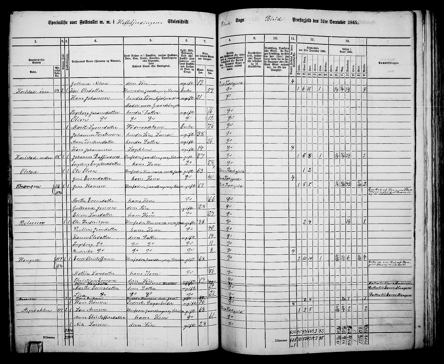 RA, 1865 census for Biri, 1865, p. 110