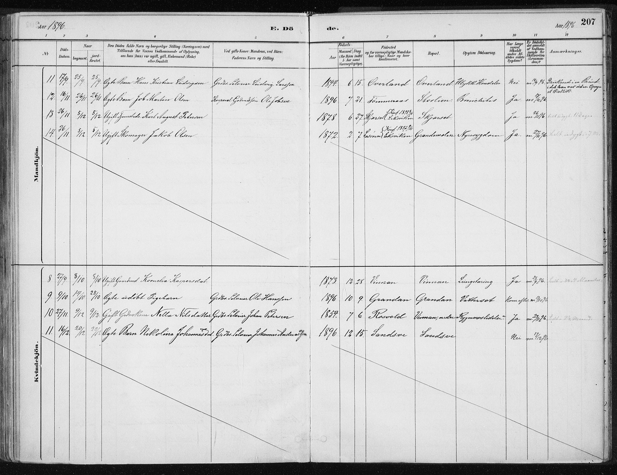 Ministerialprotokoller, klokkerbøker og fødselsregistre - Nord-Trøndelag, SAT/A-1458/701/L0010: Parish register (official) no. 701A10, 1883-1899, p. 207