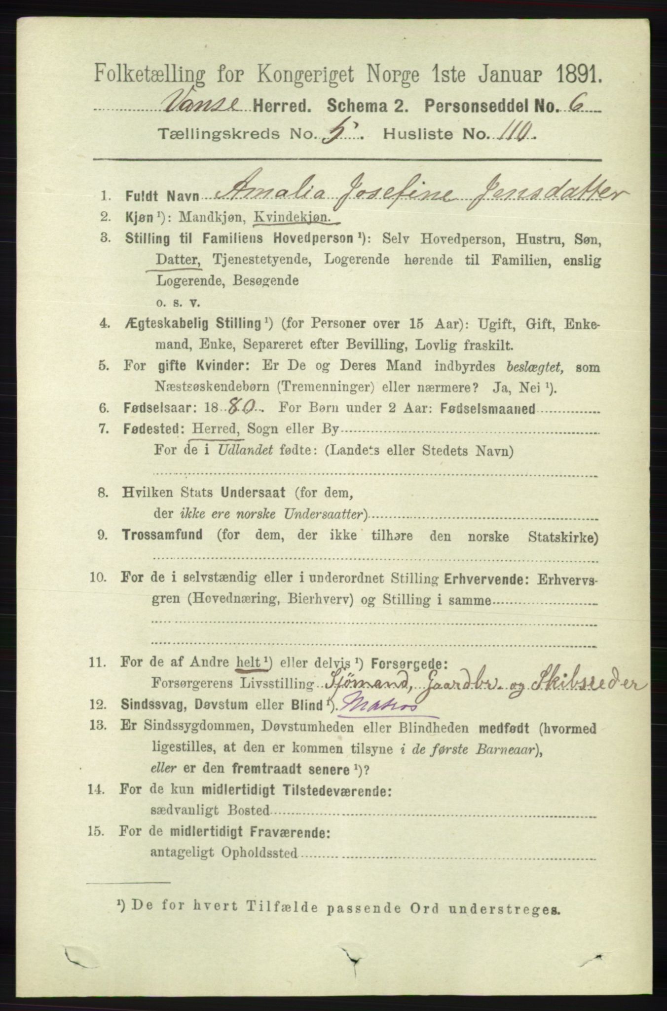 RA, 1891 census for 1041 Vanse, 1891, p. 3390