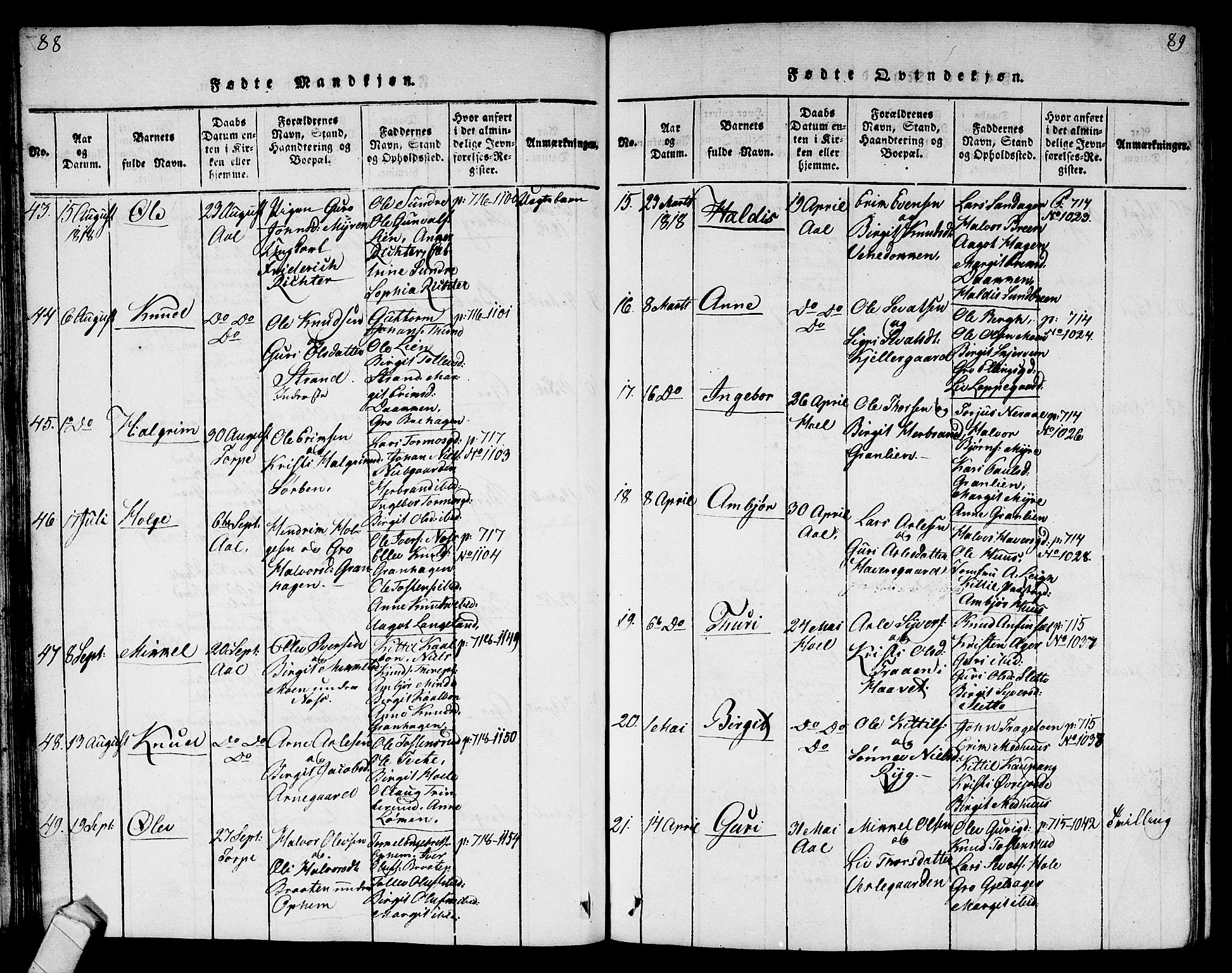 Ål kirkebøker, SAKO/A-249/G/Ga/L0001: Parish register (copy) no. 1, 1815-1829, p. 88-89