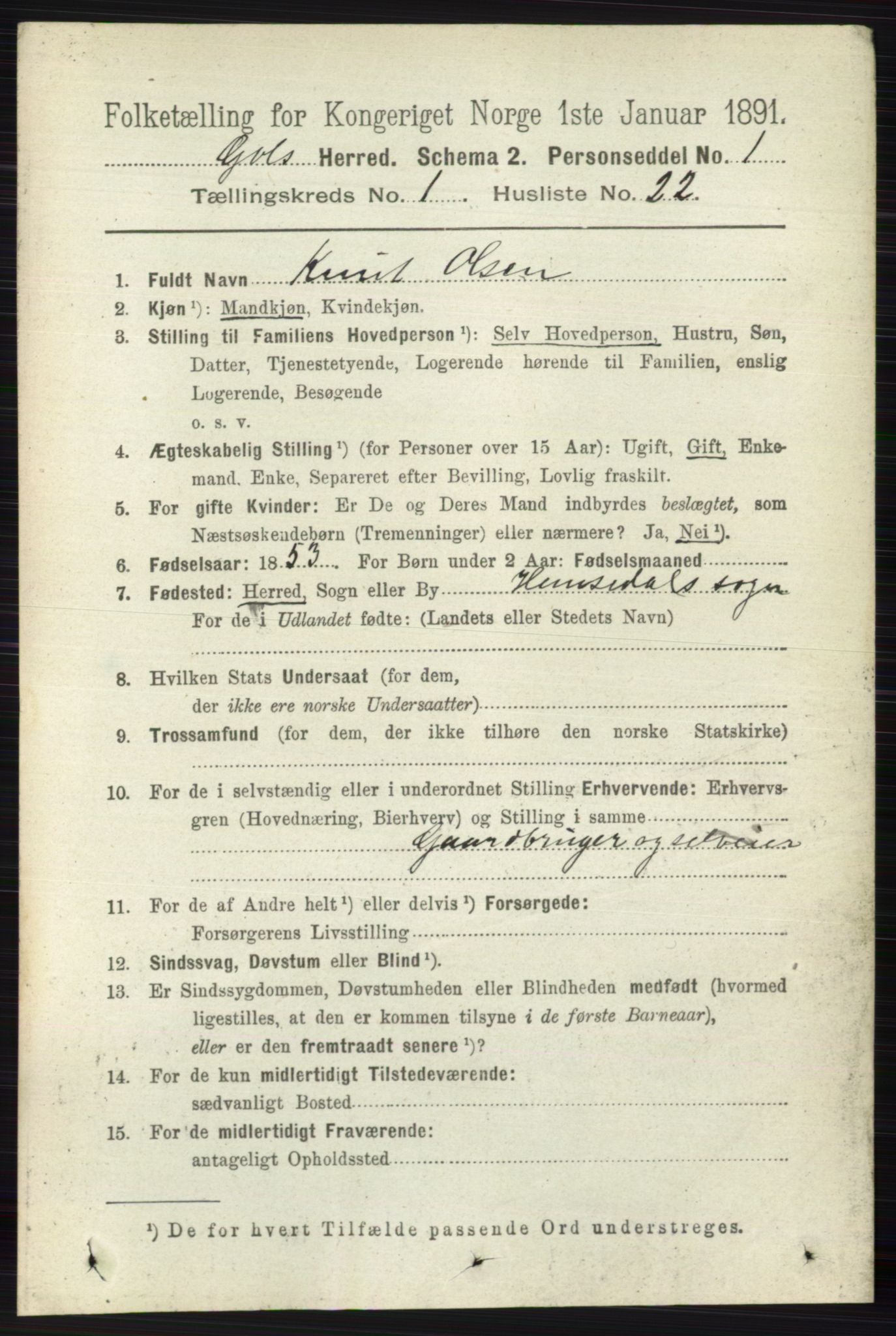 RA, 1891 census for 0617 Gol og Hemsedal, 1891, p. 219