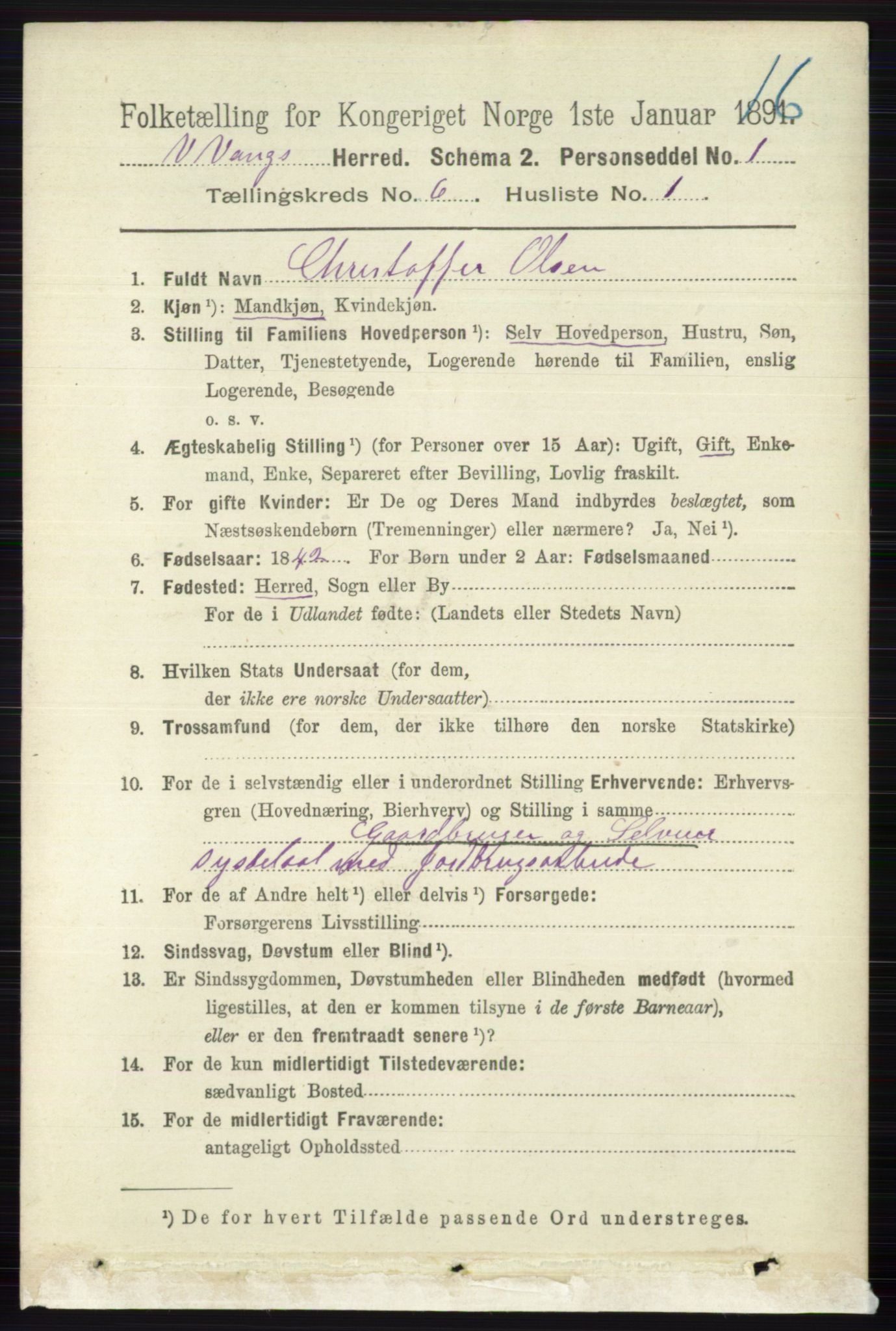 RA, 1891 census for 0545 Vang, 1891, p. 1248