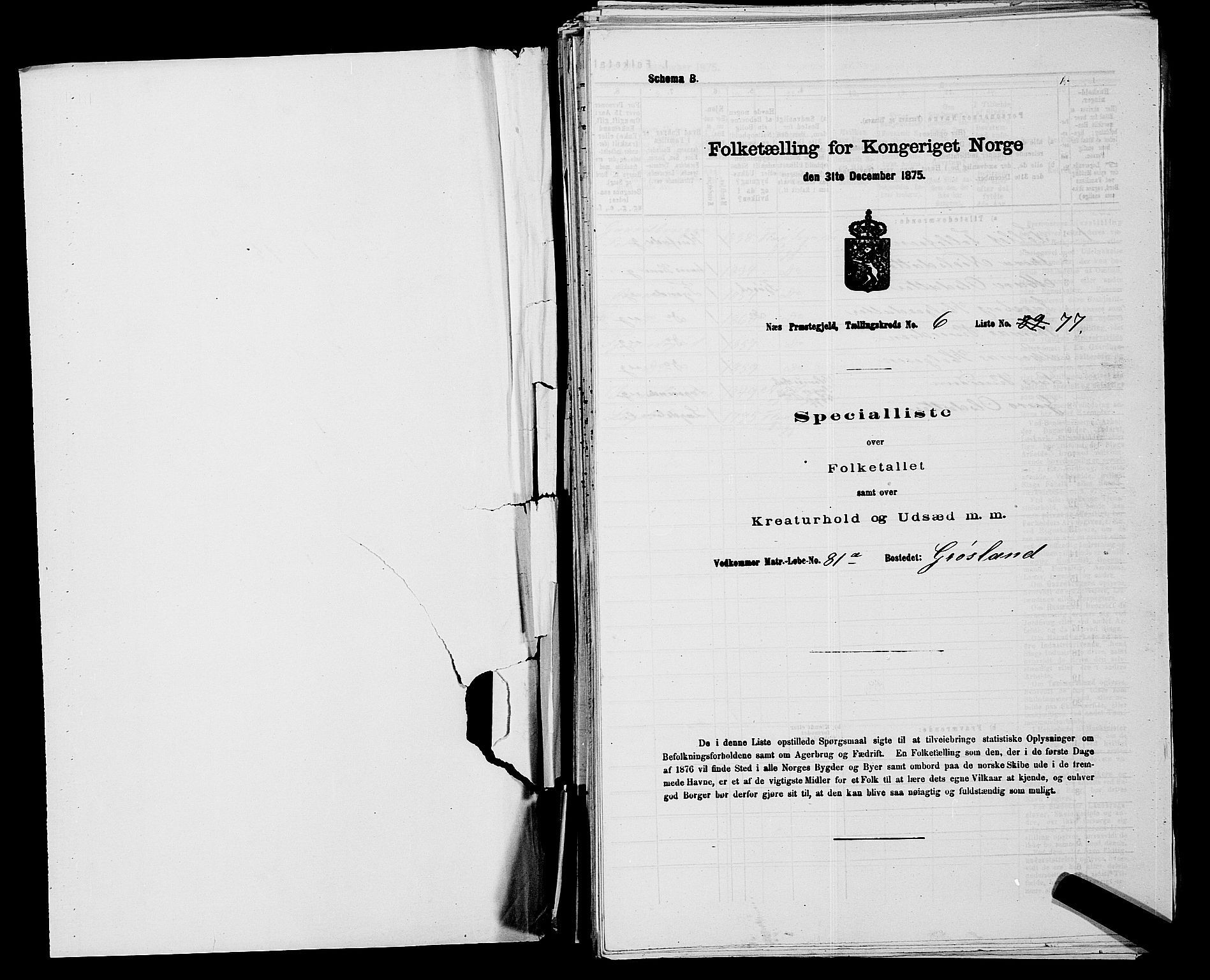 SAKO, 1875 census for 0616P Nes, 1875, p. 973