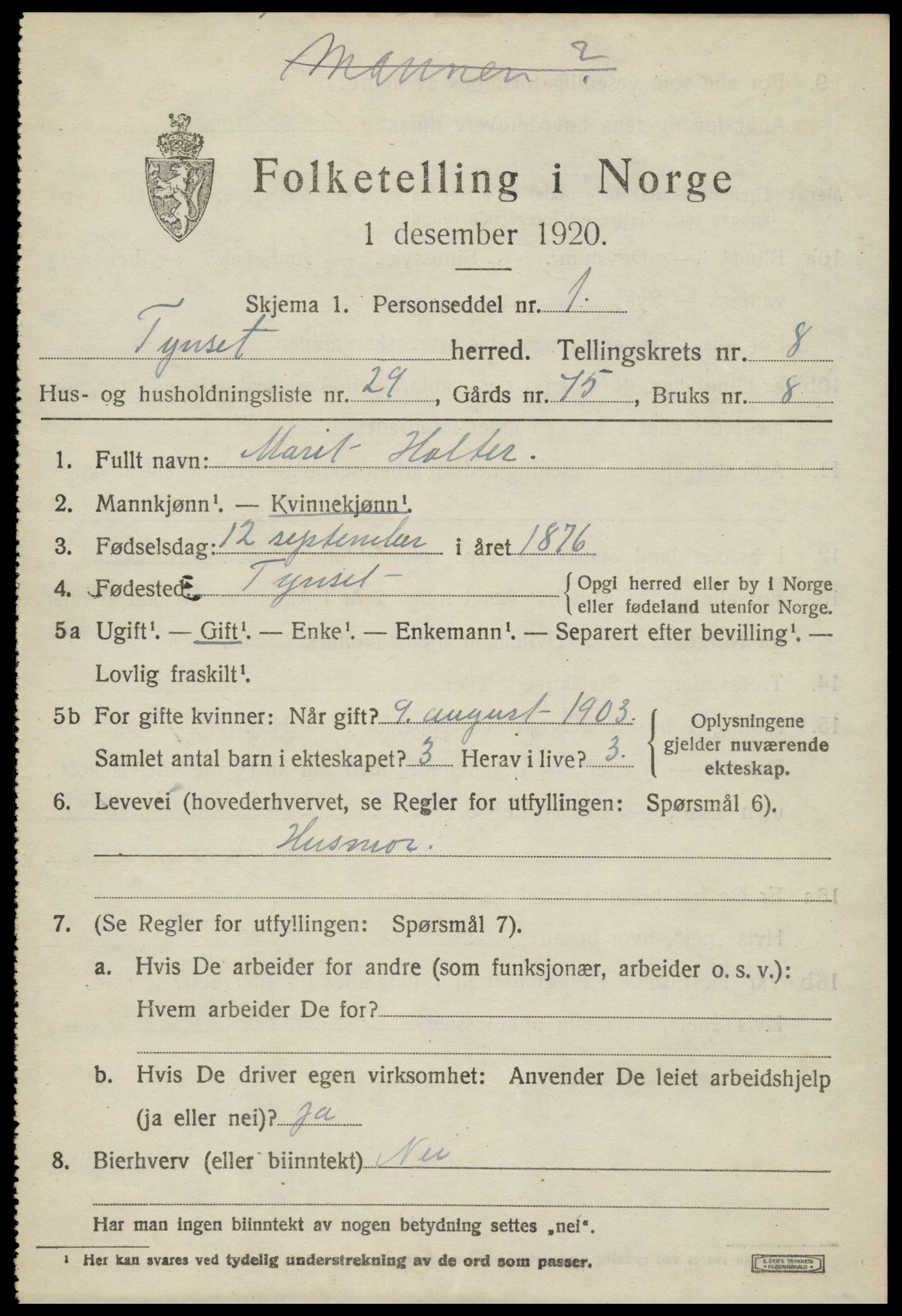 SAH, 1920 census for Tynset, 1920, p. 6904