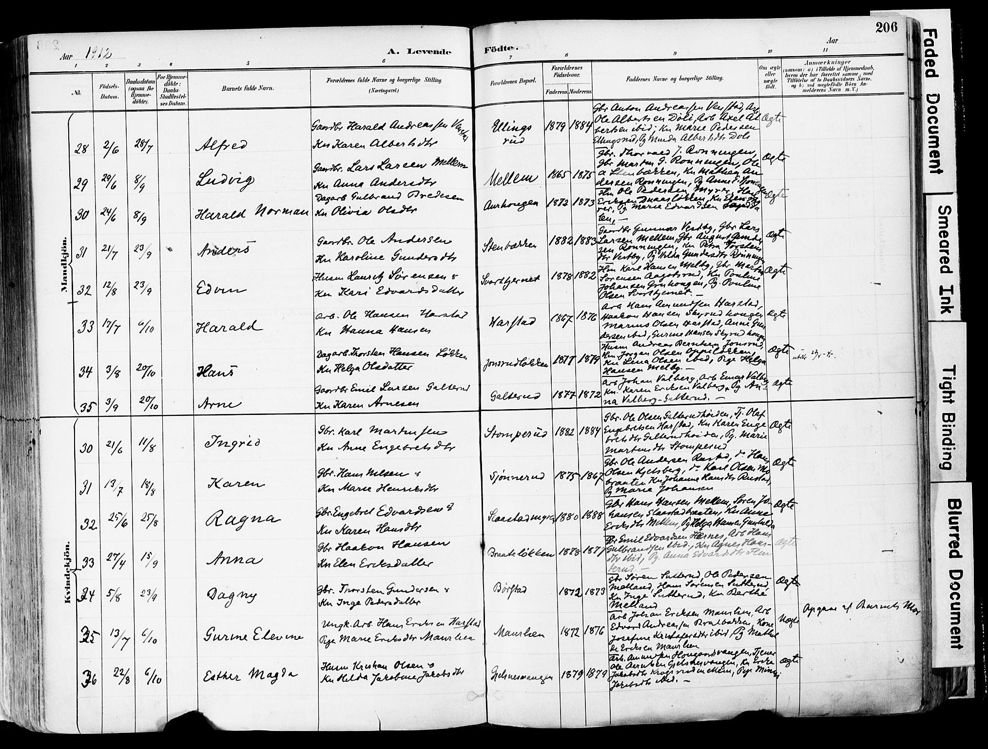 Sør-Odal prestekontor, SAH/PREST-030/H/Ha/Haa/L0006: Parish register (official) no. 6, 1886-1931, p. 206