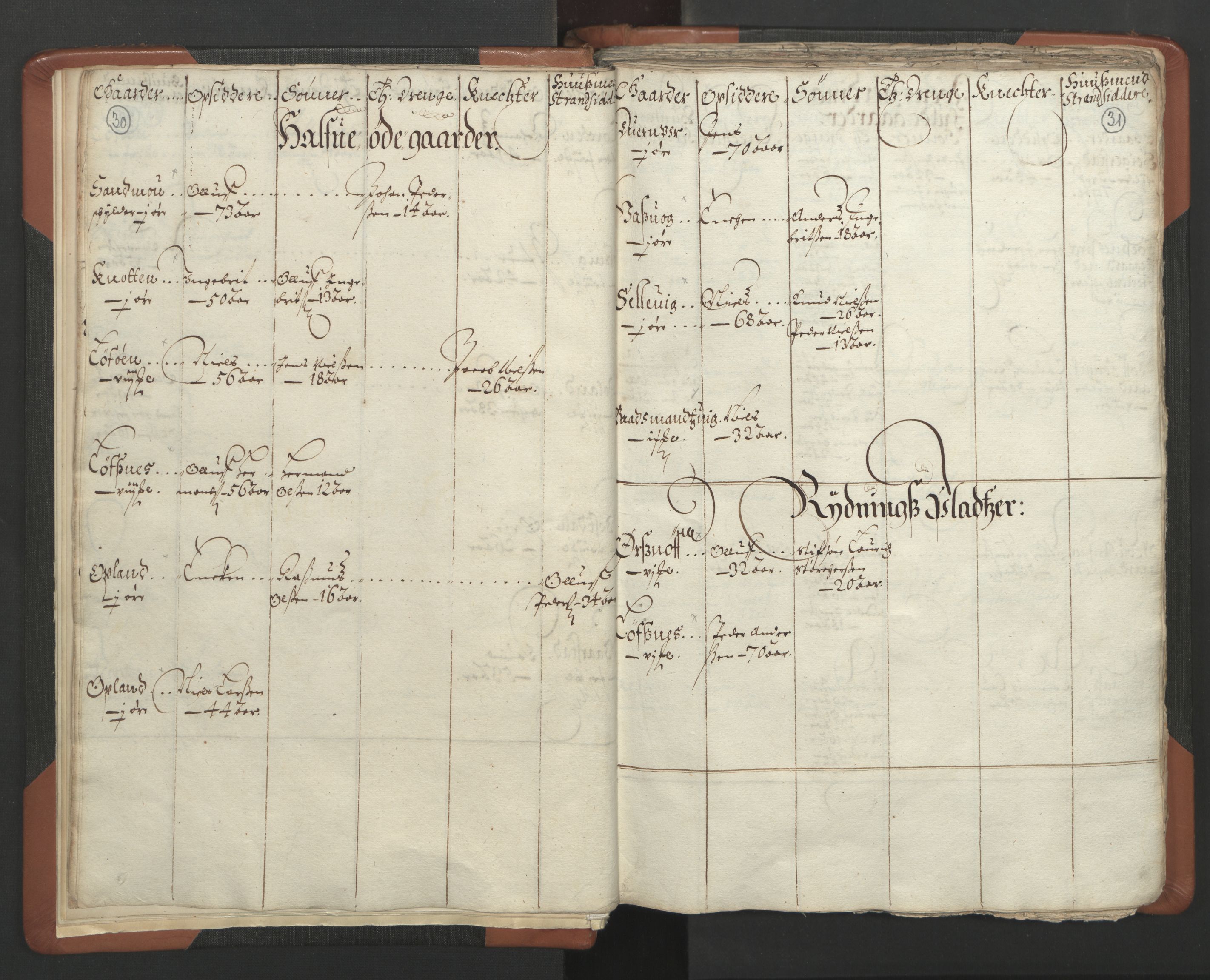 RA, Vicar's Census 1664-1666, no. 34: Namdal deanery, 1664-1666, p. 30-31