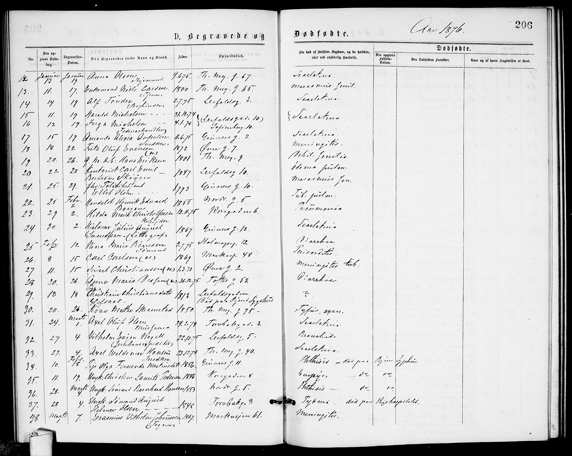 Paulus prestekontor Kirkebøker, SAO/A-10871/G/Ga/L0001: Parish register (copy) no. 1, 1875-1878, p. 206