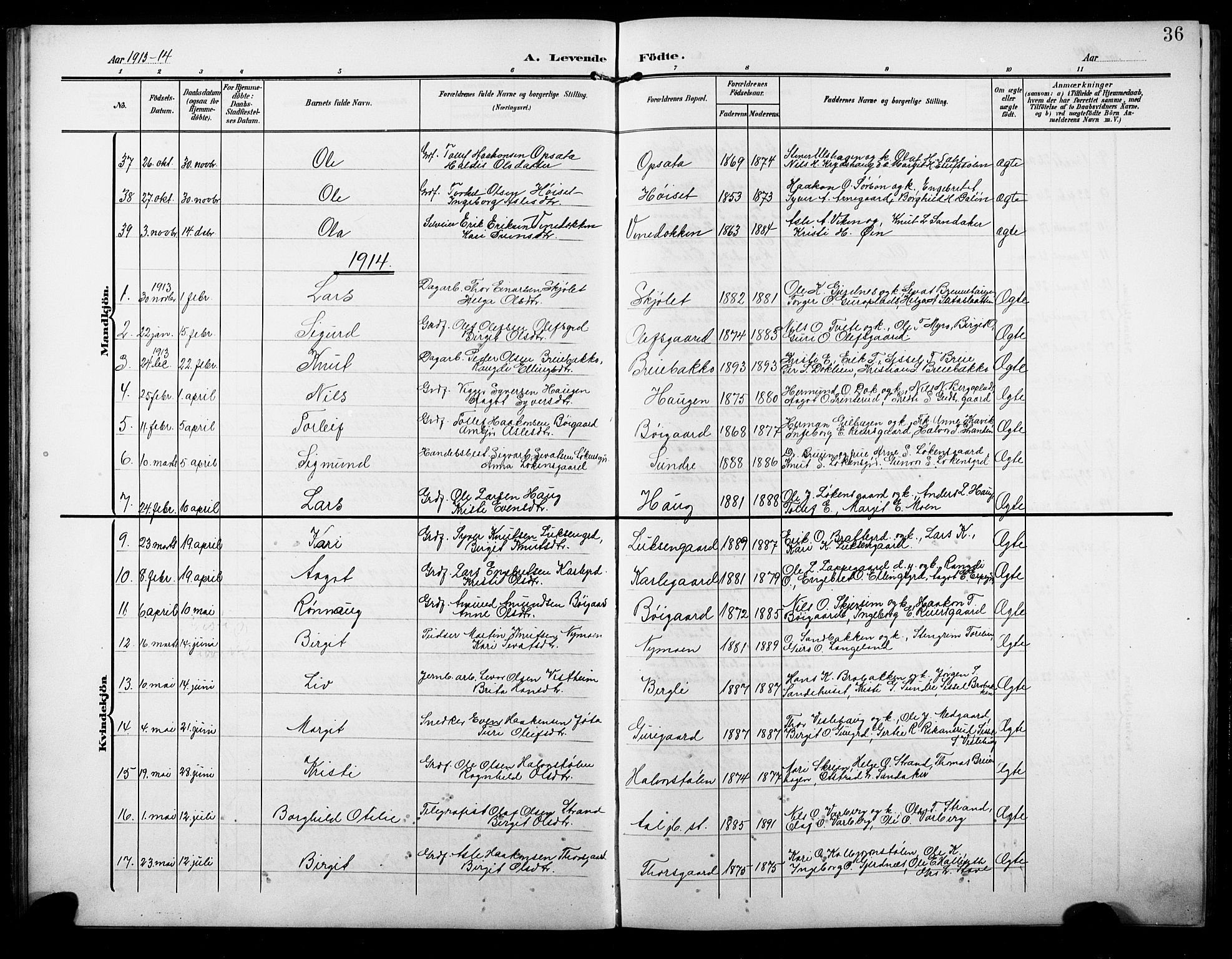 Ål kirkebøker, AV/SAKO-A-249/G/Ga/L0002: Parish register (copy) no. 2, 1904-1928, p. 36