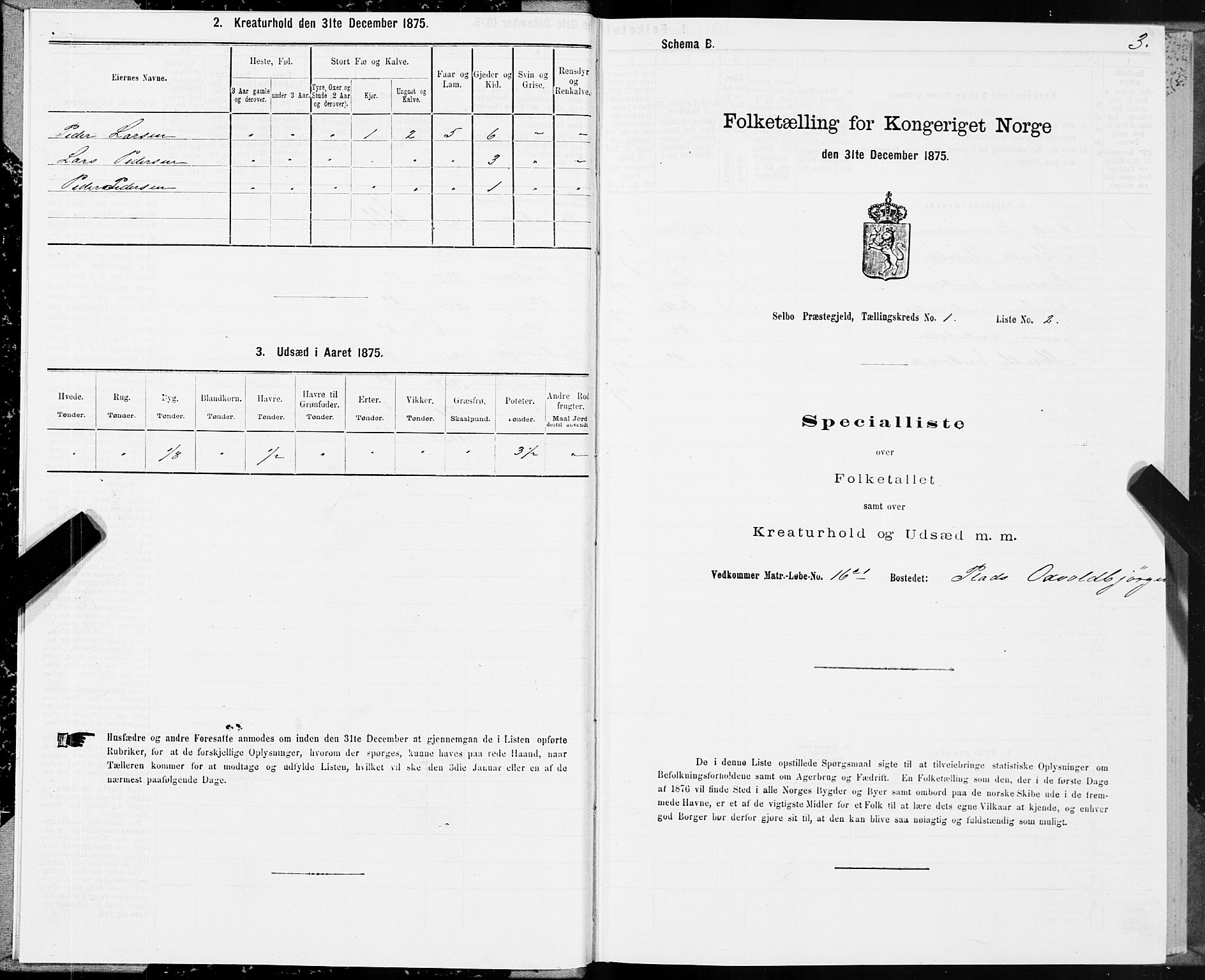 SAT, 1875 census for 1664P Selbu, 1875, p. 1003