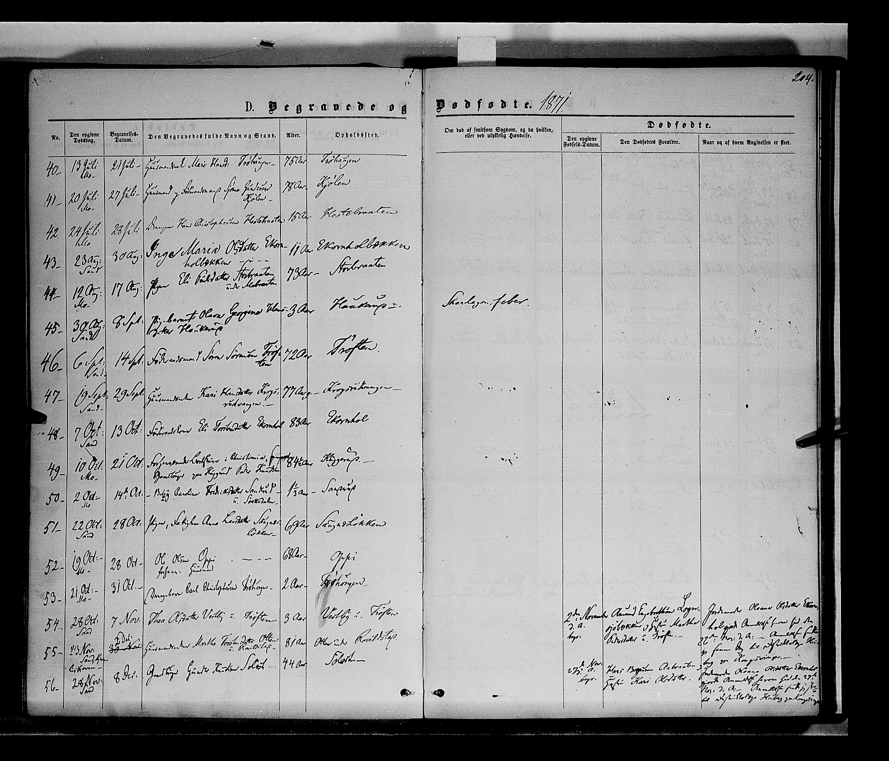 Nord-Odal prestekontor, AV/SAH-PREST-032/H/Ha/Haa/L0004: Parish register (official) no. 4, 1866-1873, p. 204