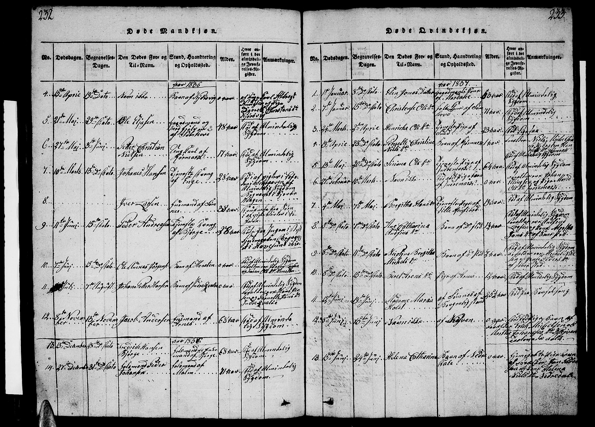 Ministerialprotokoller, klokkerbøker og fødselsregistre - Nordland, AV/SAT-A-1459/812/L0186: Parish register (copy) no. 812C04, 1820-1849, p. 232-233