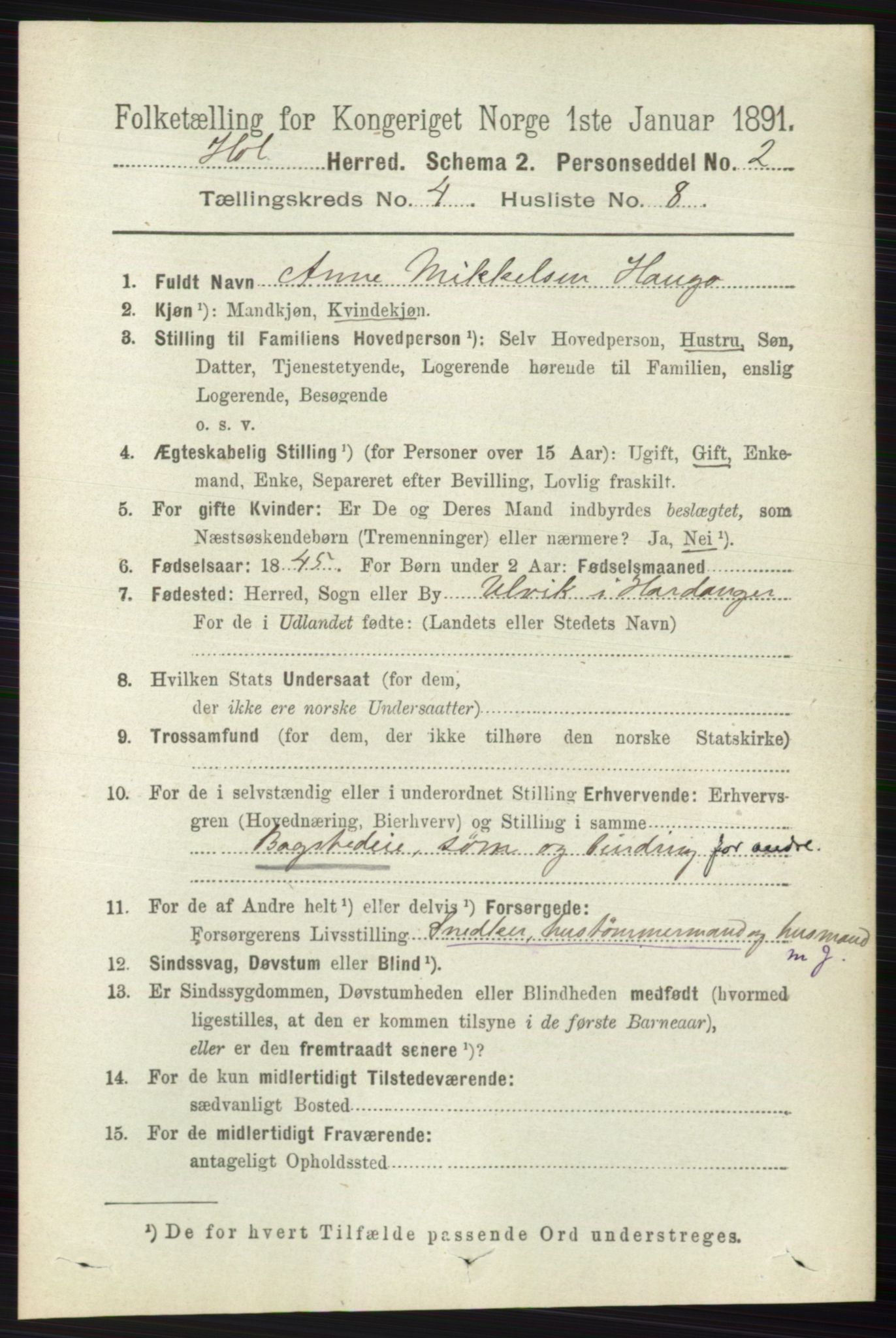 RA, 1891 census for 0620 Hol, 1891, p. 1300