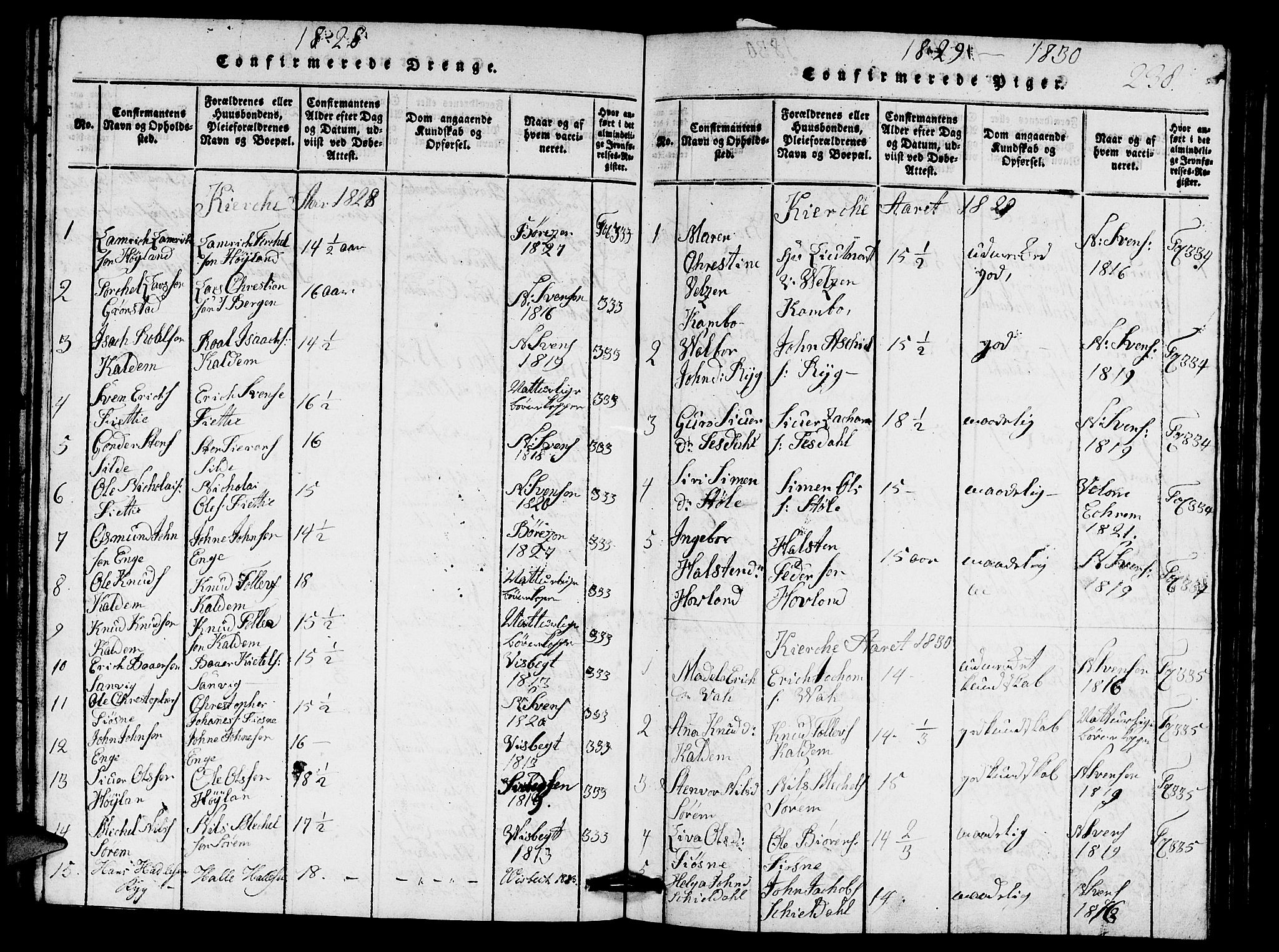 Etne sokneprestembete, SAB/A-75001/H/Hab: Parish register (copy) no. A 1, 1815-1849, p. 238