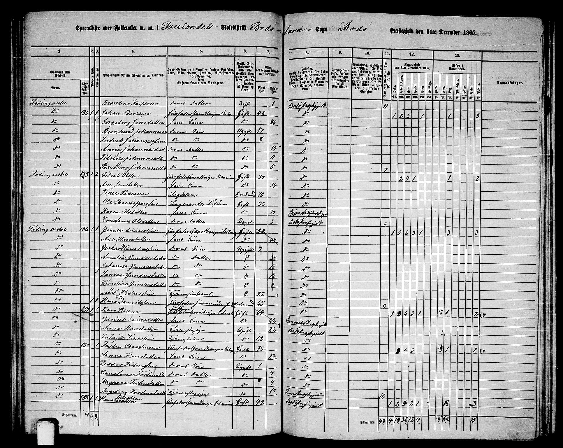 RA, 1865 census for Bodø/Bodø, 1865, p. 80