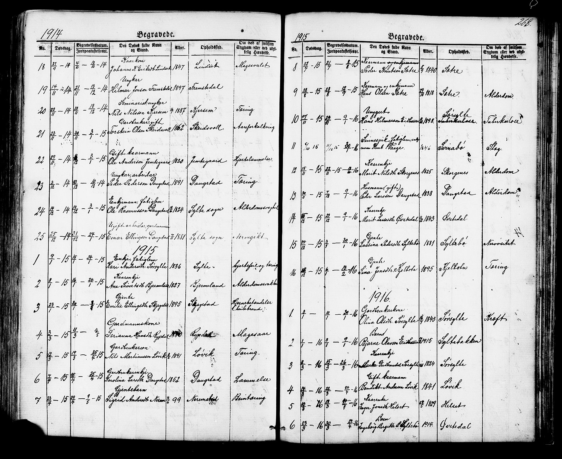 Ministerialprotokoller, klokkerbøker og fødselsregistre - Møre og Romsdal, AV/SAT-A-1454/541/L0547: Parish register (copy) no. 541C02, 1867-1921, p. 268