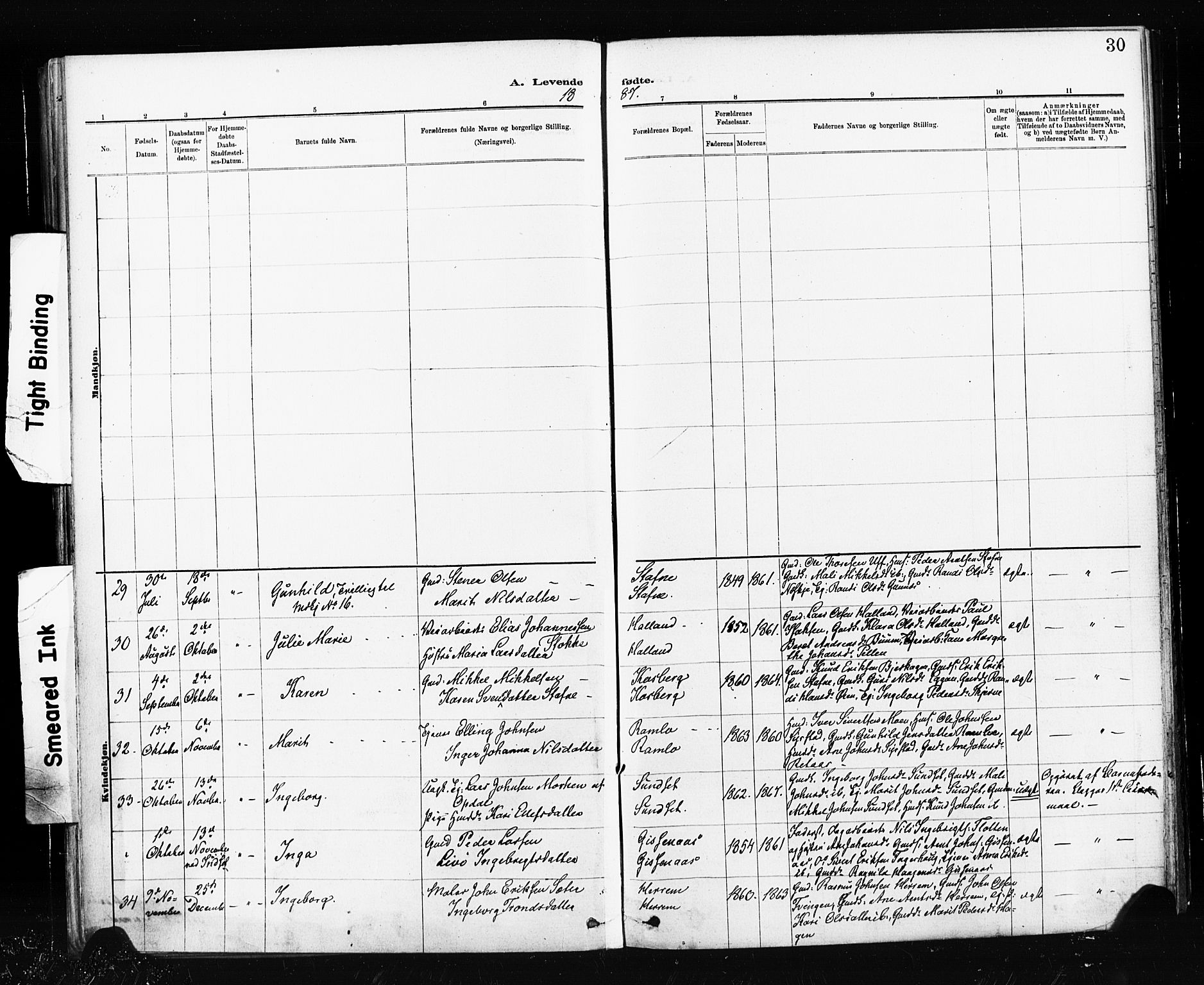 Ministerialprotokoller, klokkerbøker og fødselsregistre - Sør-Trøndelag, SAT/A-1456/674/L0871: Parish register (official) no. 674A03, 1880-1896, p. 30