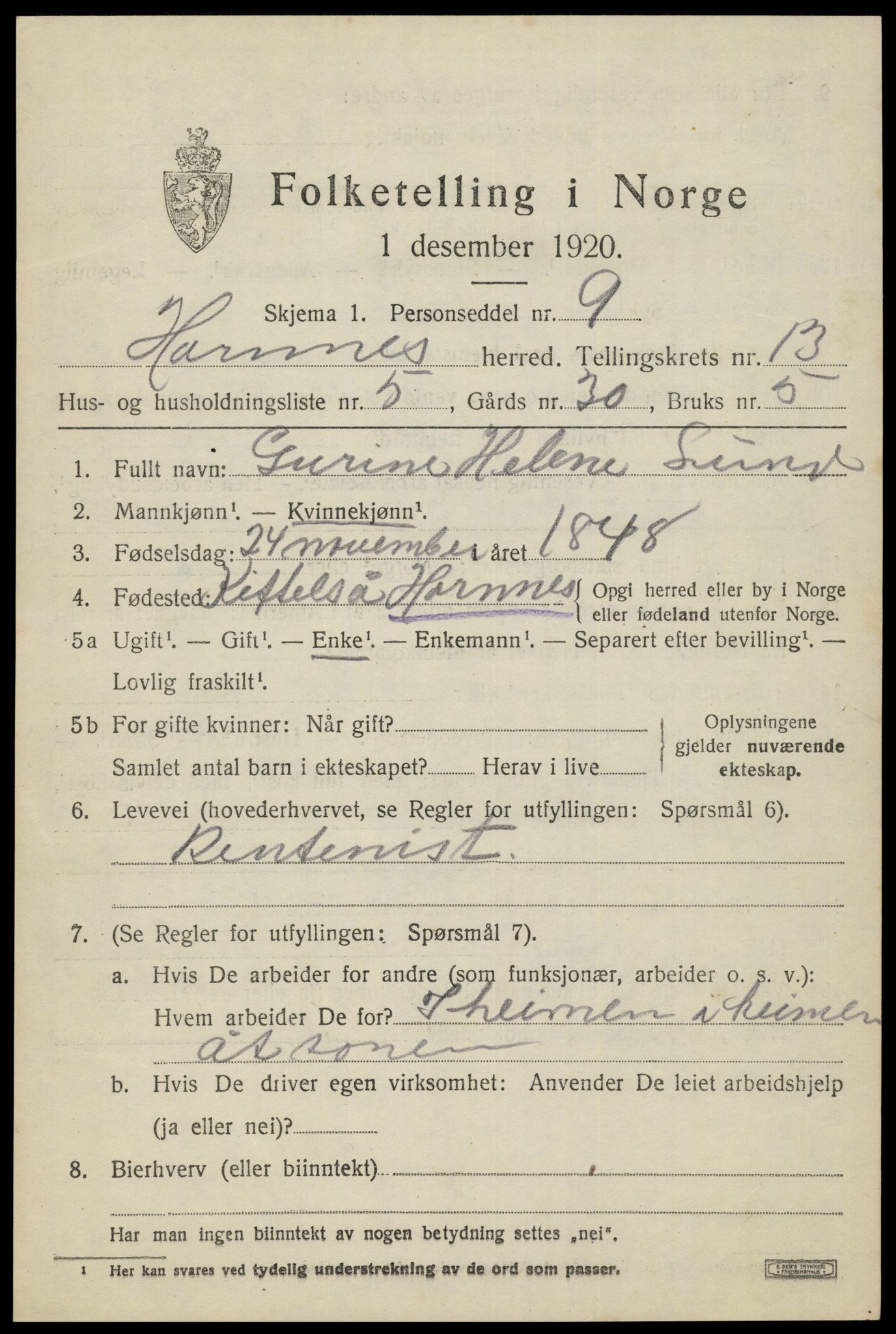 SAK, 1920 census for Hornnes, 1920, p. 3121