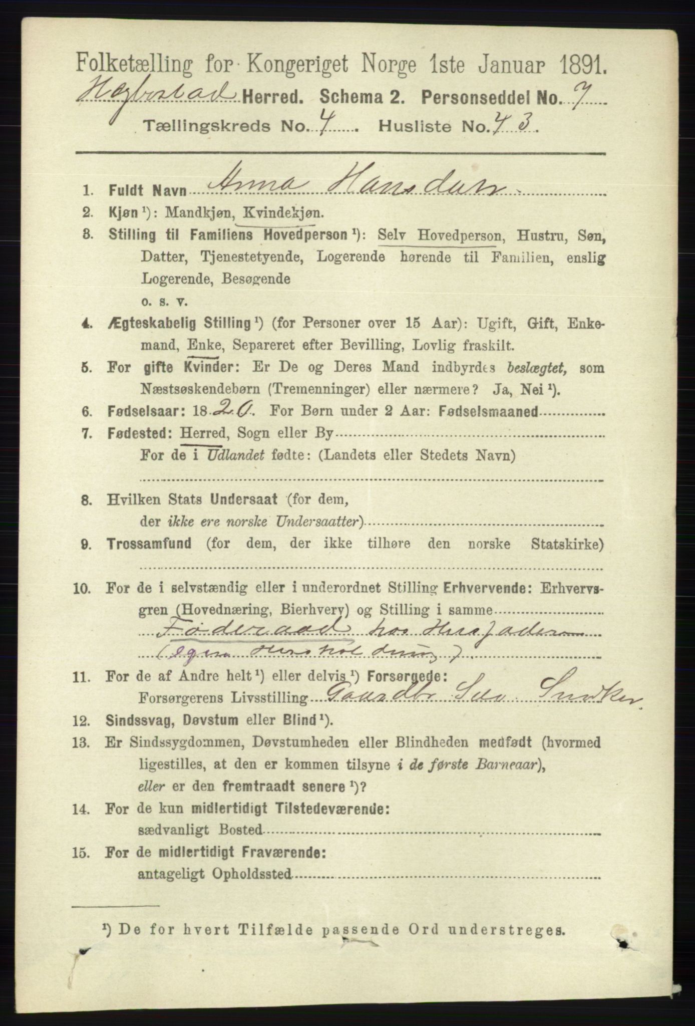 RA, 1891 census for 1034 Hægebostad, 1891, p. 1428