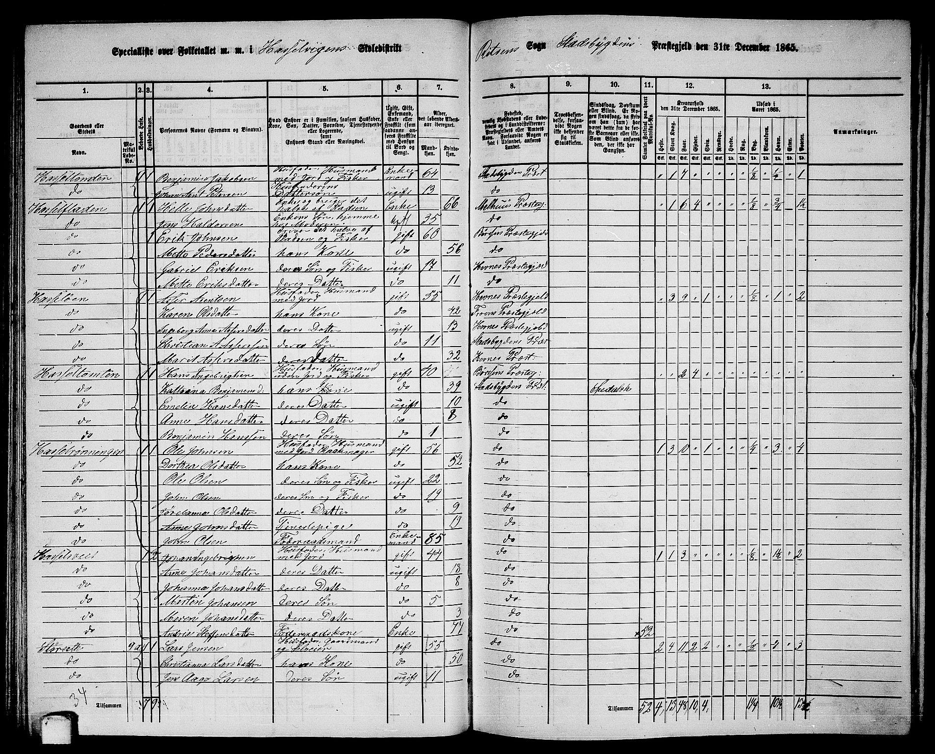 RA, 1865 census for Stadsbygd, 1865, p. 84