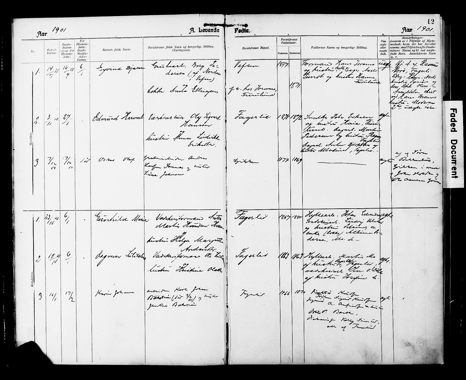 Ministerialprotokoller, klokkerbøker og fødselsregistre - Nordland, AV/SAT-A-1459/850/L0709: Parish register (official) no. 850A01, 1899-1909, p. 12